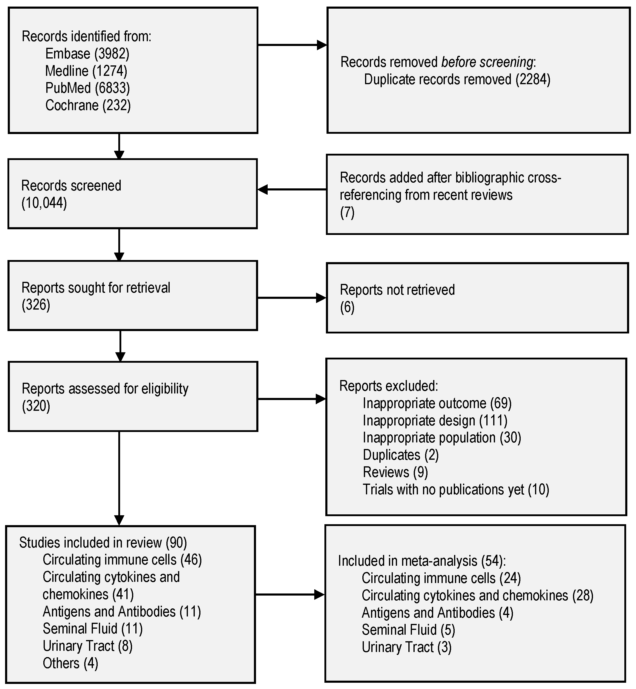 Ijms 24 16385 g001 Ijms 24 16385 g001