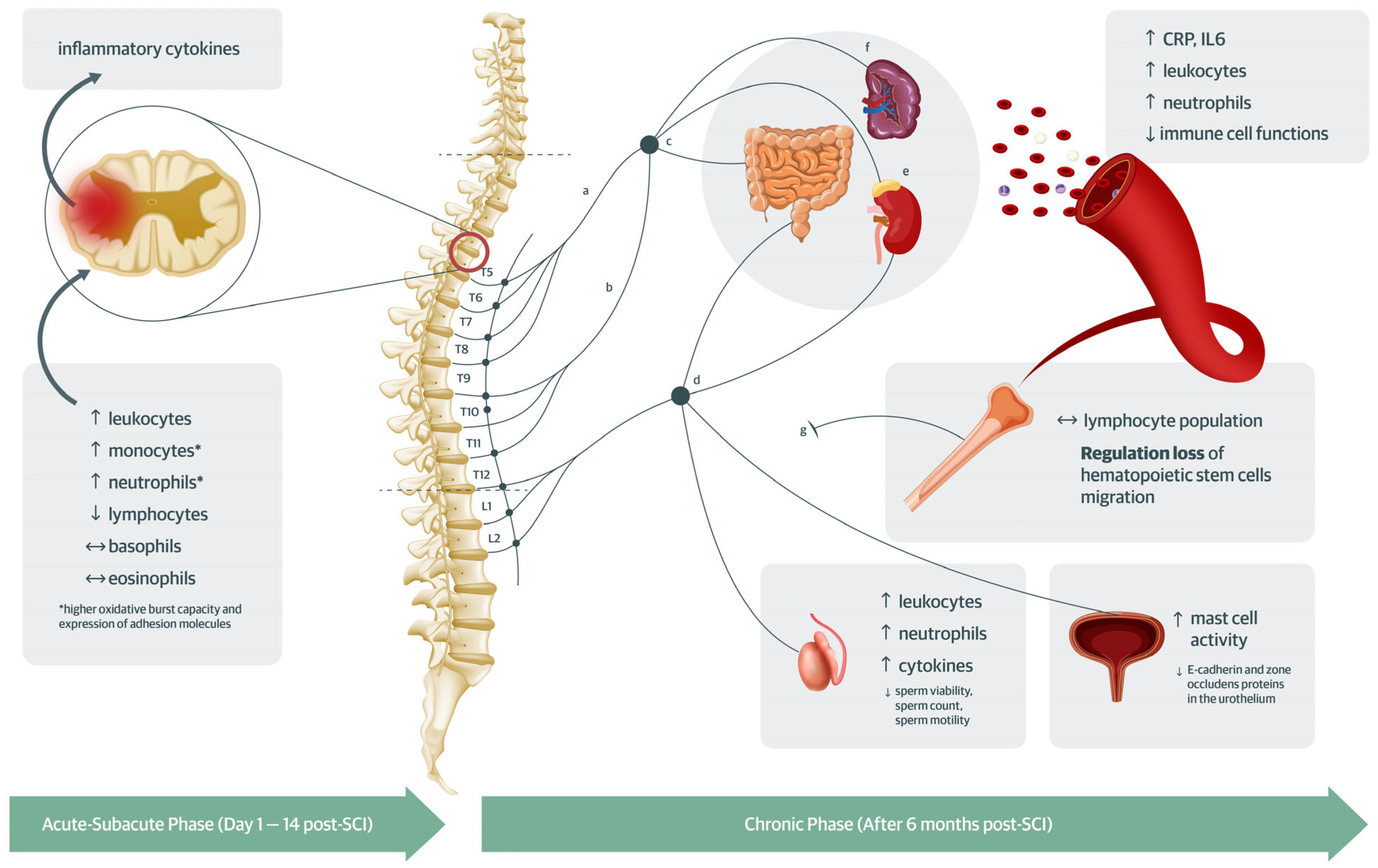 Ijms 24 16385 g002 Ijms 24 16385 g002