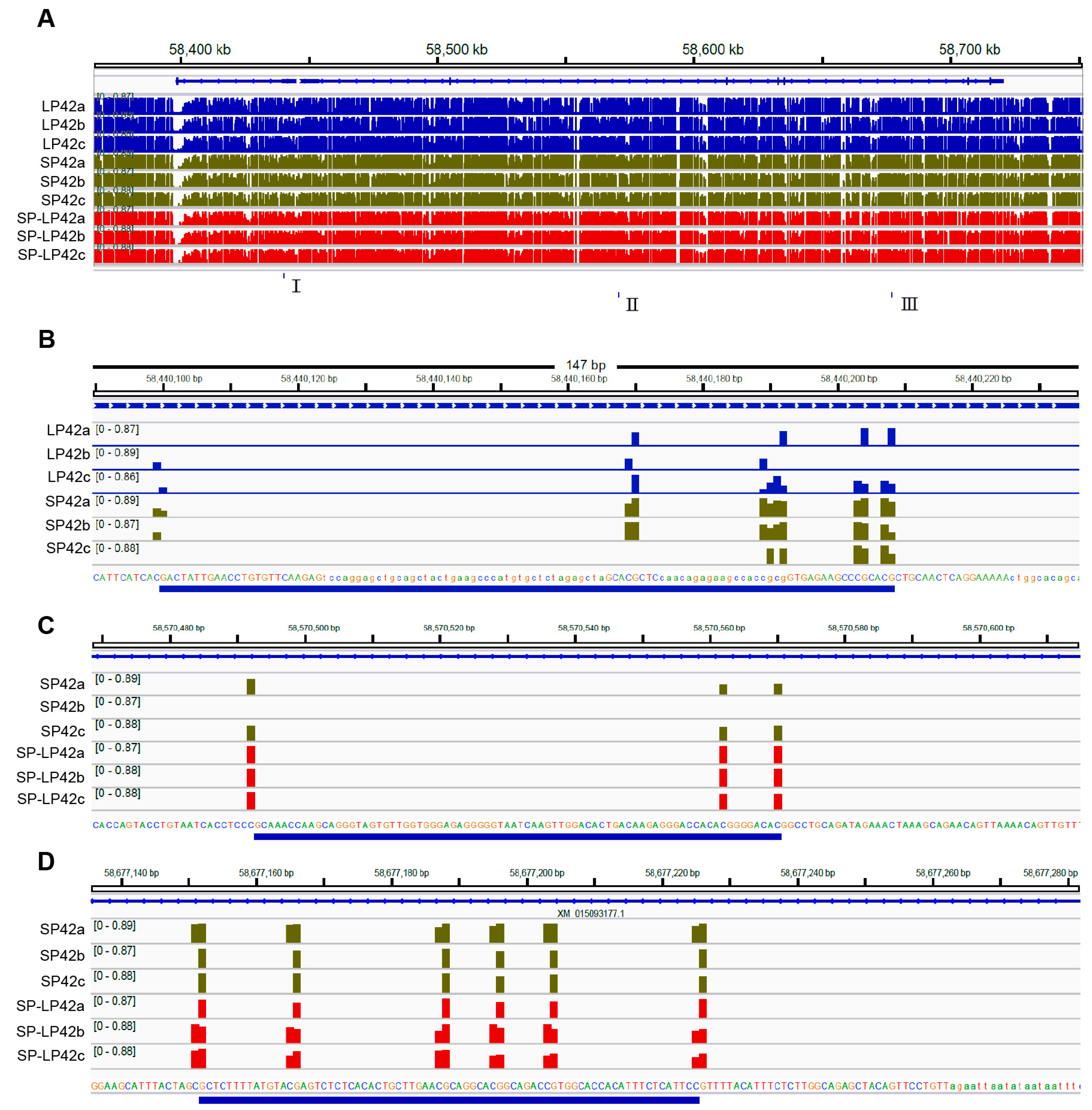 Ijms 24 16442 g001 Ijms 24 16442 g001