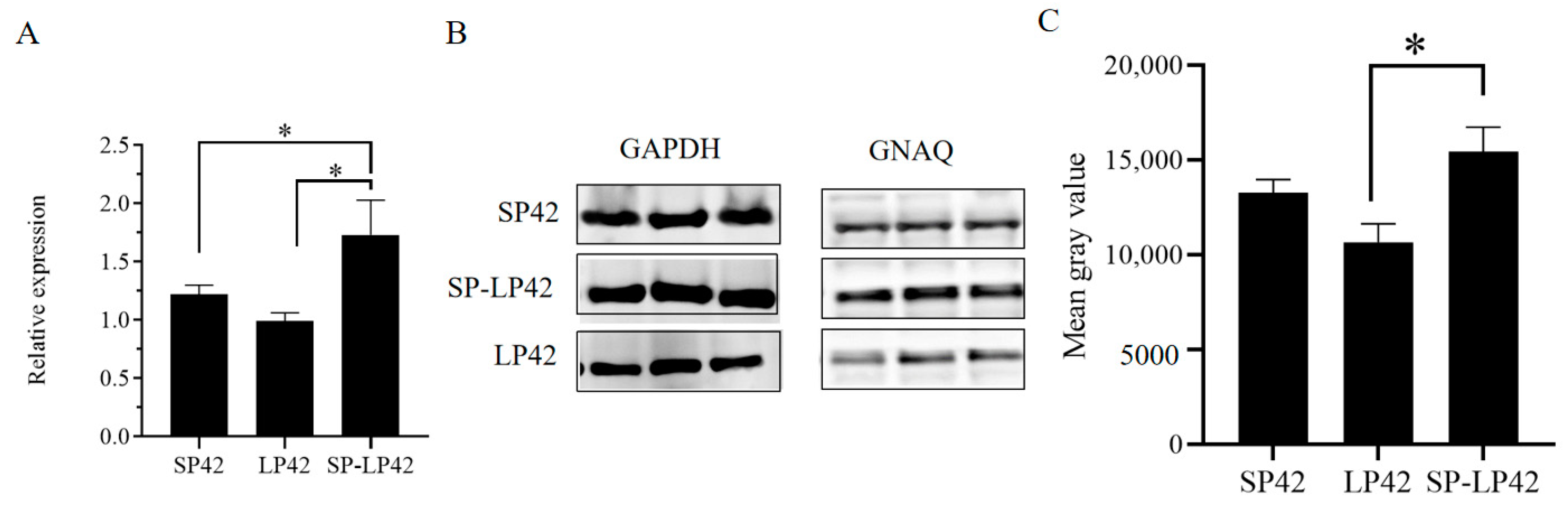 Ijms 24 16442 g007 Ijms 24 16442 g007