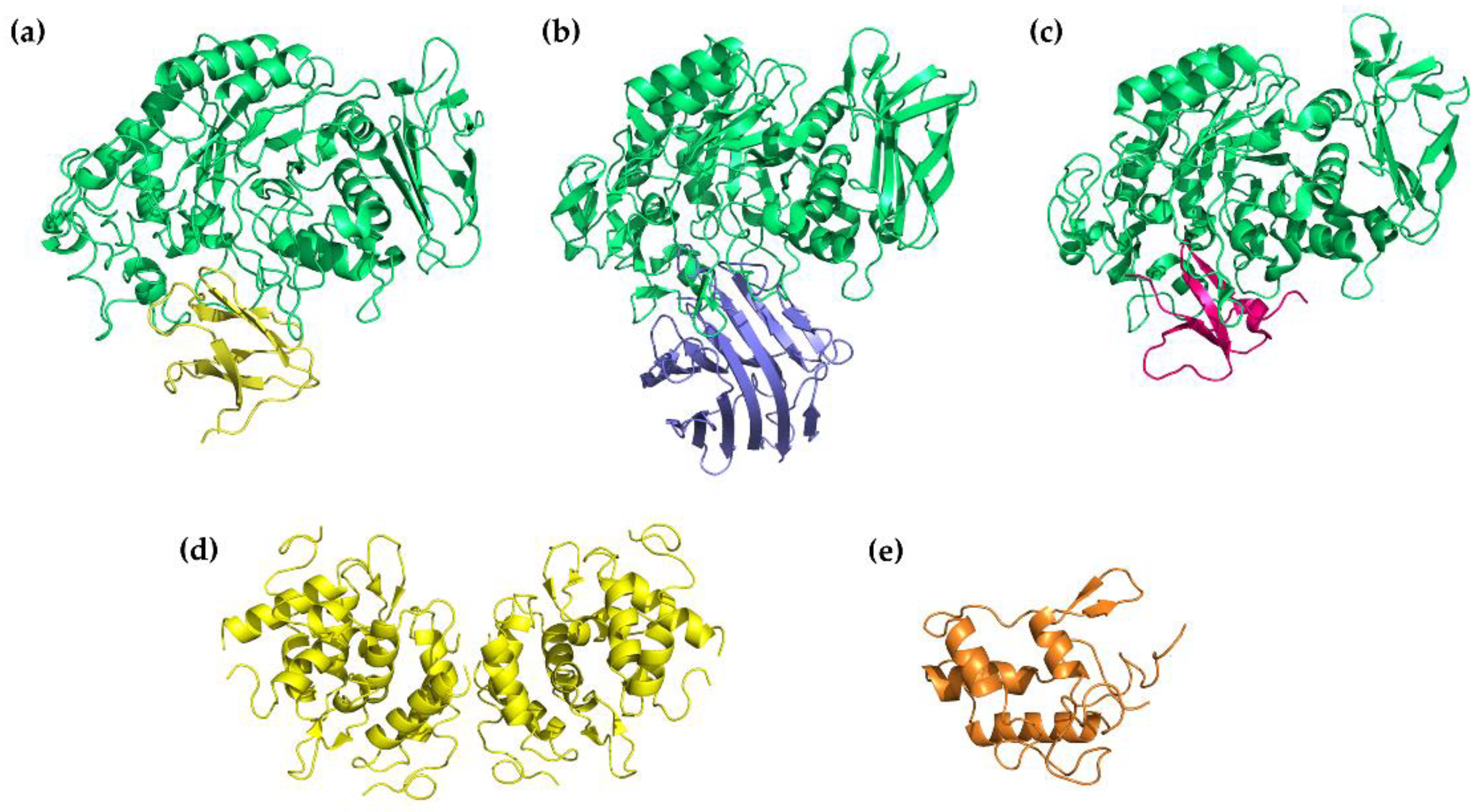 Ijms 24 16514 g006 Ijms 24 16514 g006