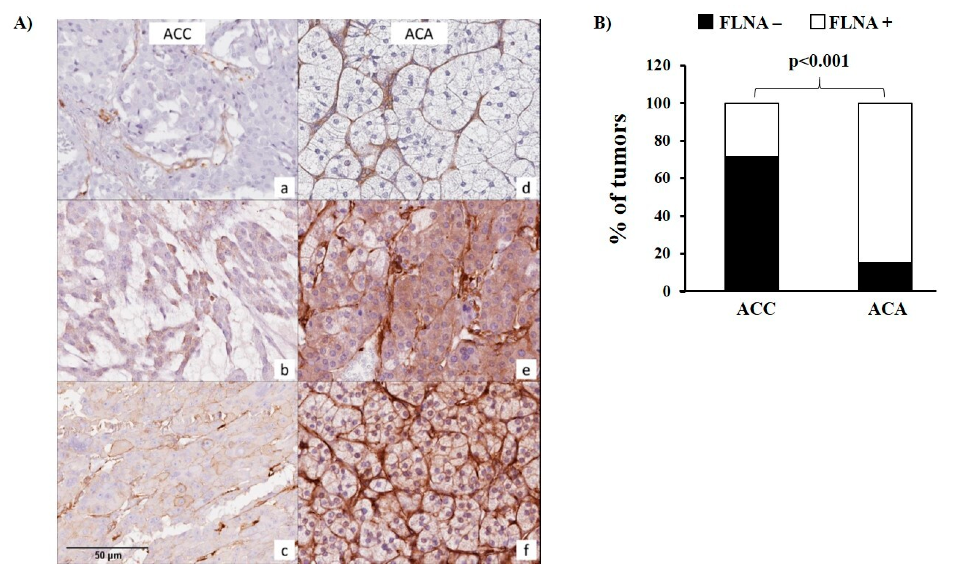 Ijms 24 16573 g001