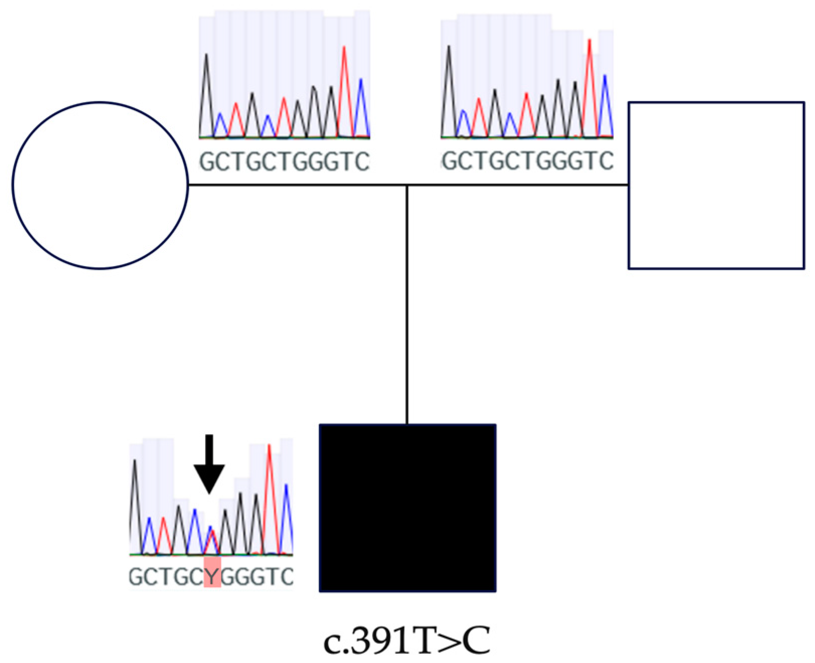 Ijms 24 16594 g002 Ijms 24 16594 g002