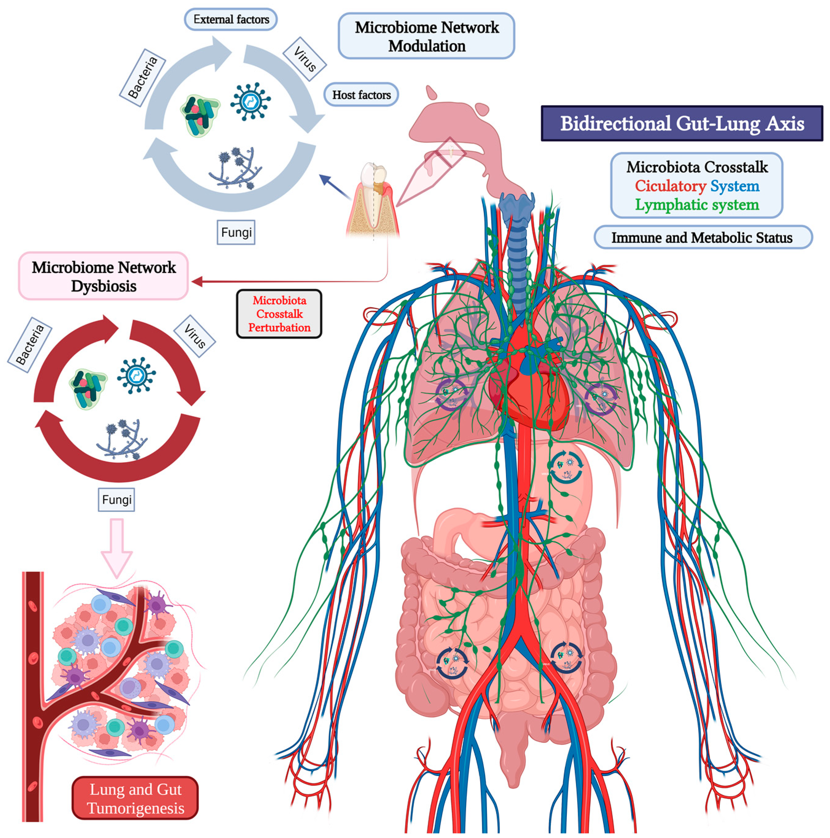 Ijms 24 16638 g001 Ijms 24 16638 g001