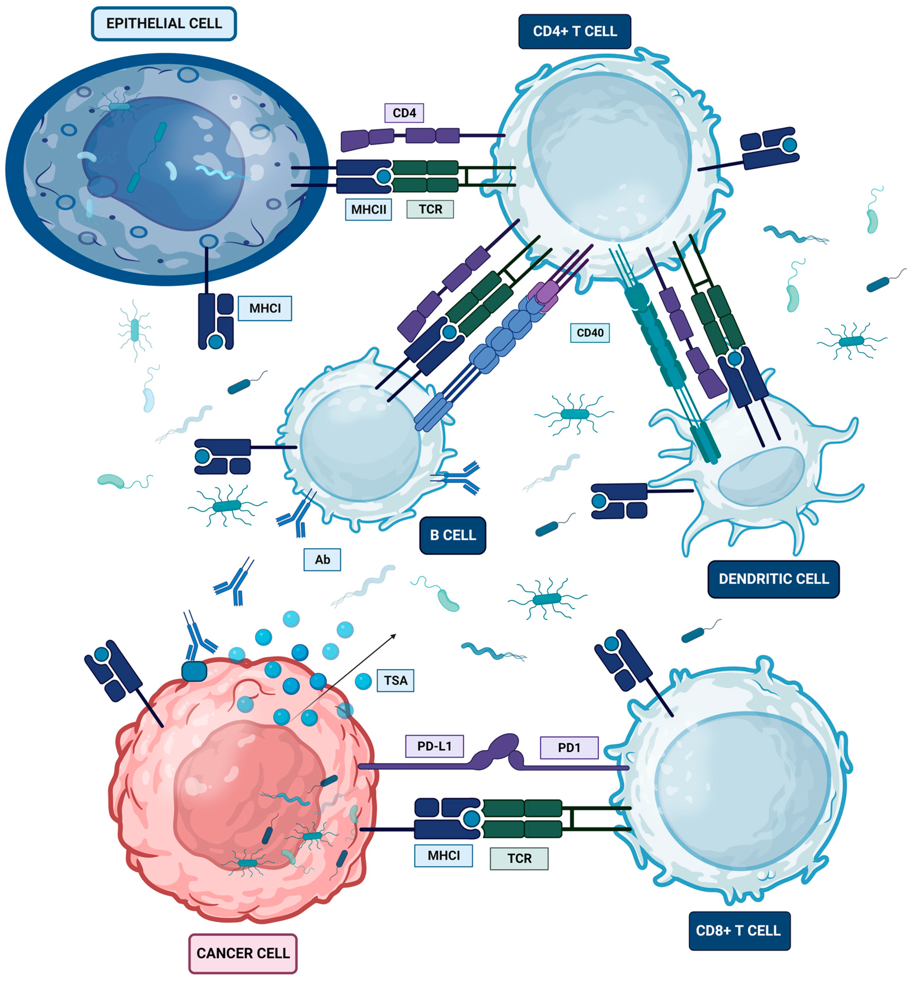 Ijms 24 16638 g002 Ijms 24 16638 g002