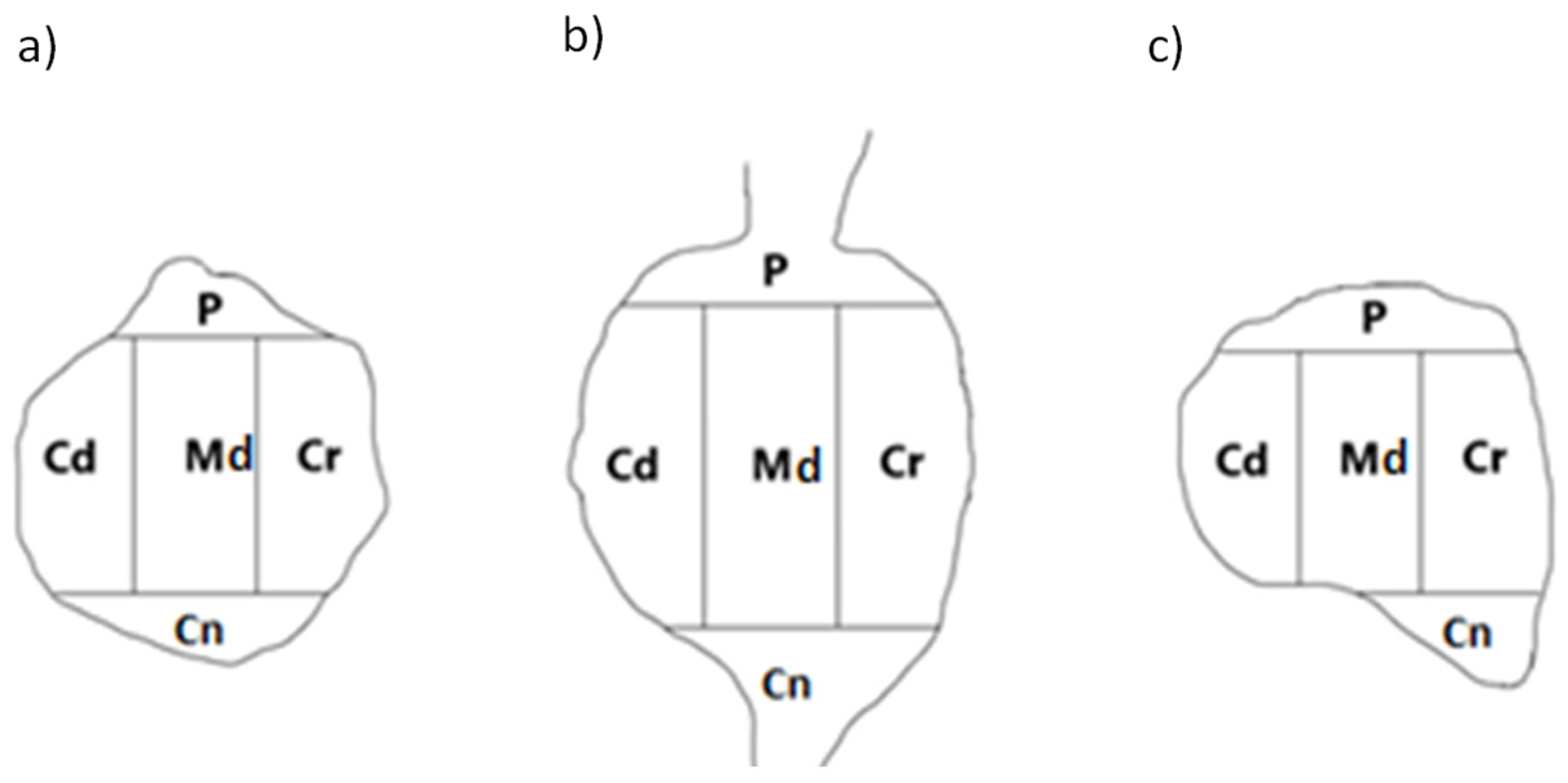 Ijms 24 16647 g005 Ijms 24 16647 g005