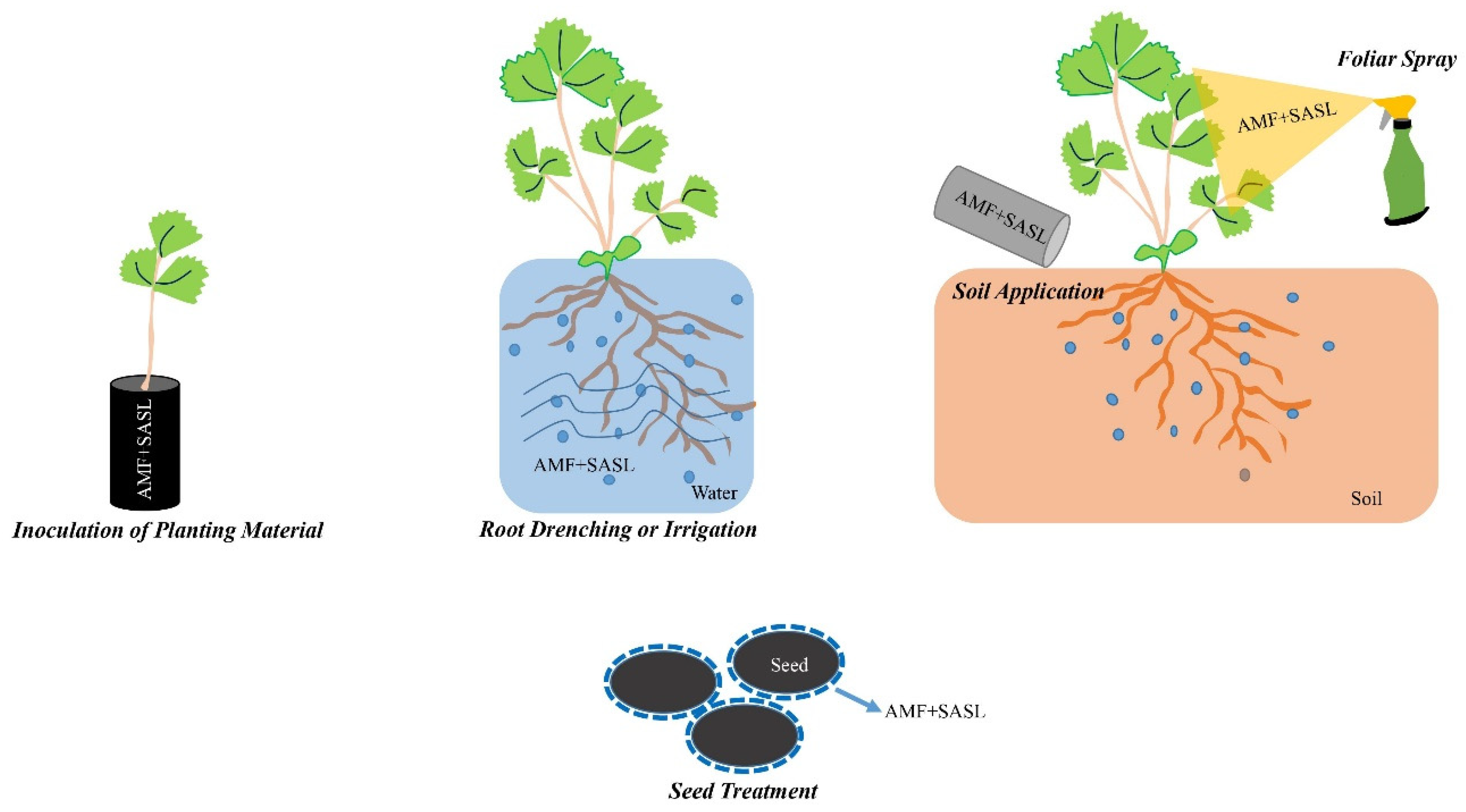 Ijms 24 16774 g004 Ijms 24 16774 g004