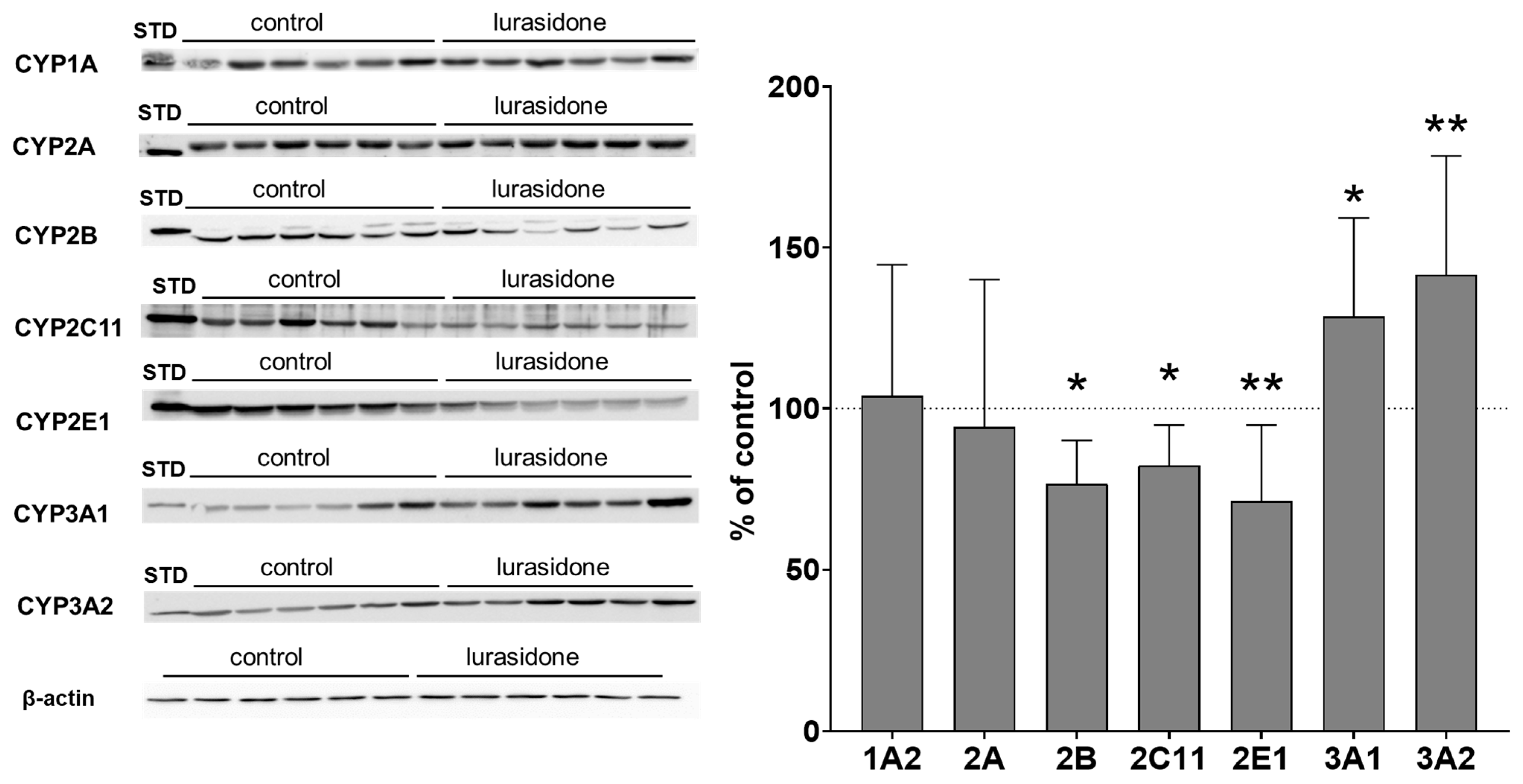 Ijms 24 16796 g002 Ijms 24 16796 g002