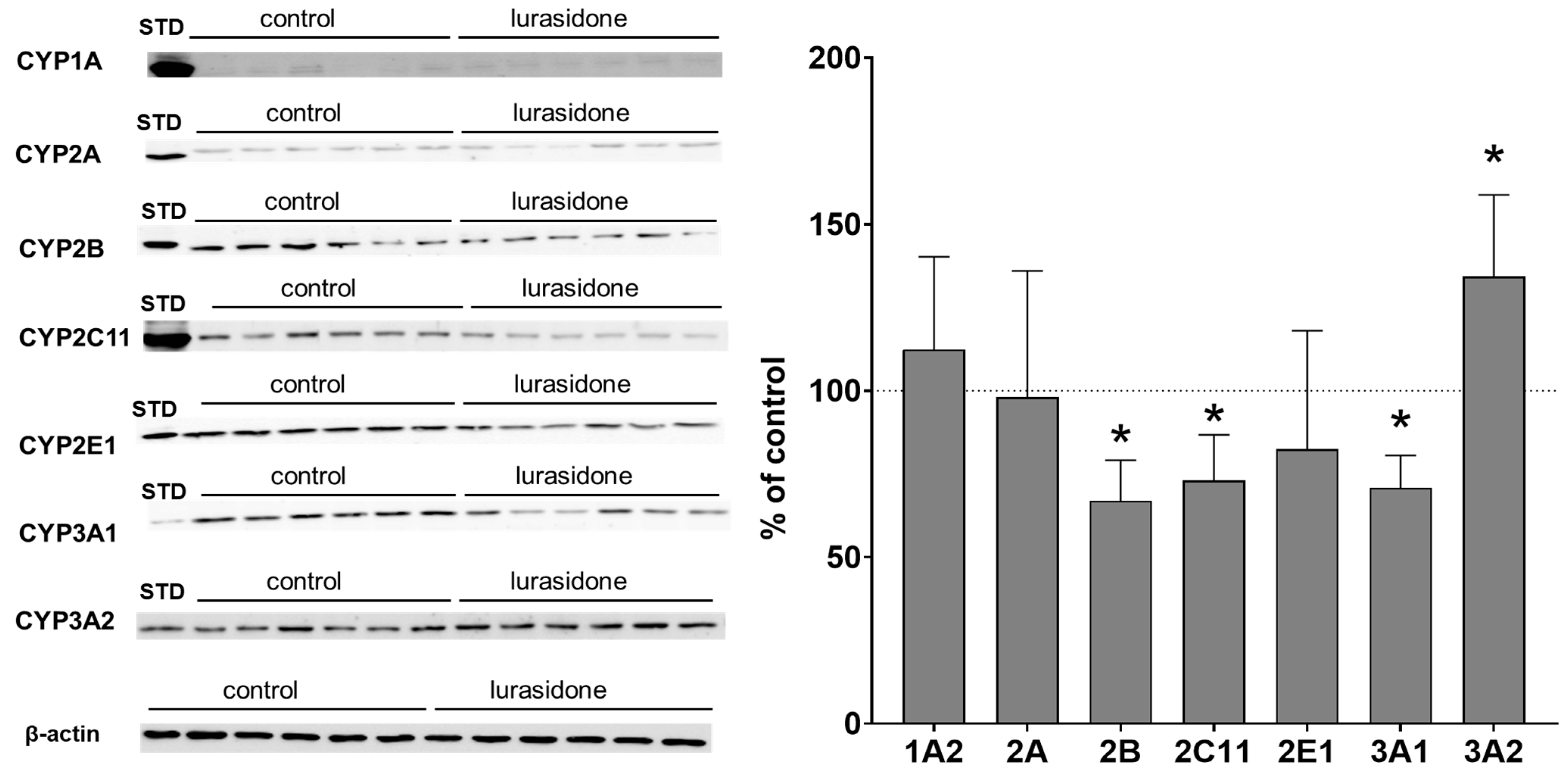 Ijms 24 16796 g003 Ijms 24 16796 g003