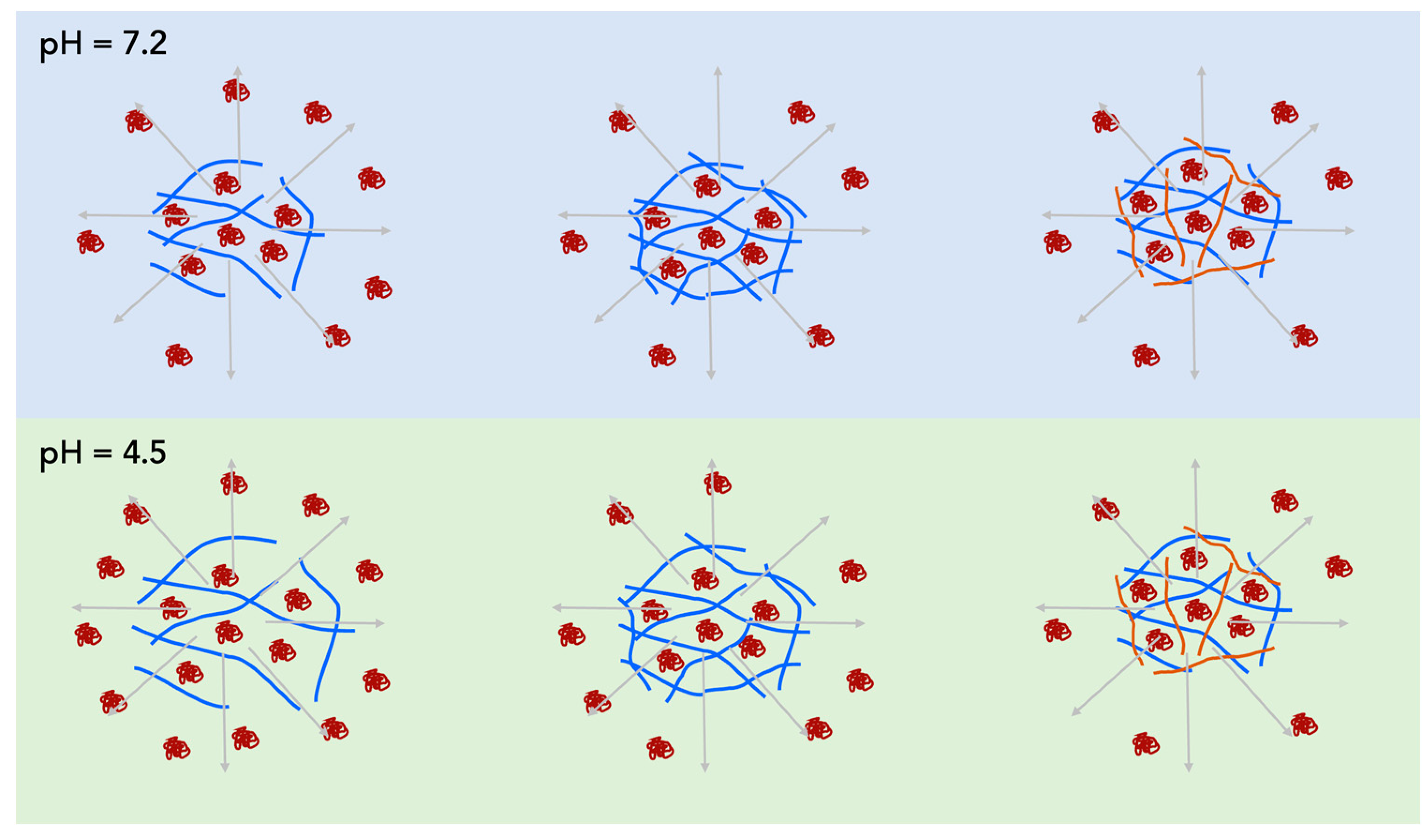 Ijms 24 16970 sch001