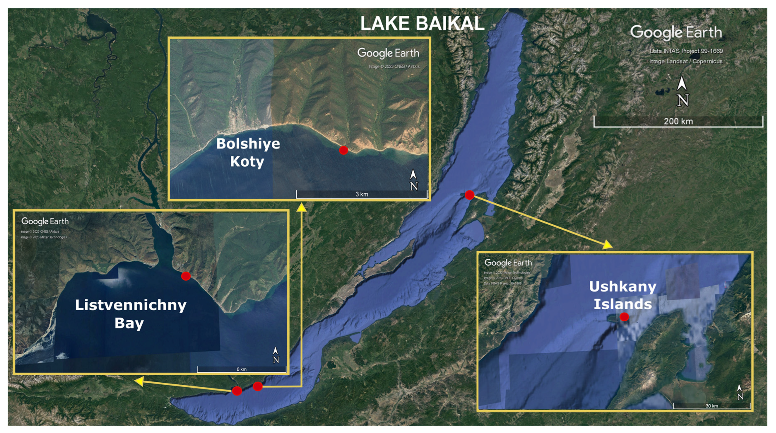 Ijms 24 17022 g001 Ijms 24 17022 g001