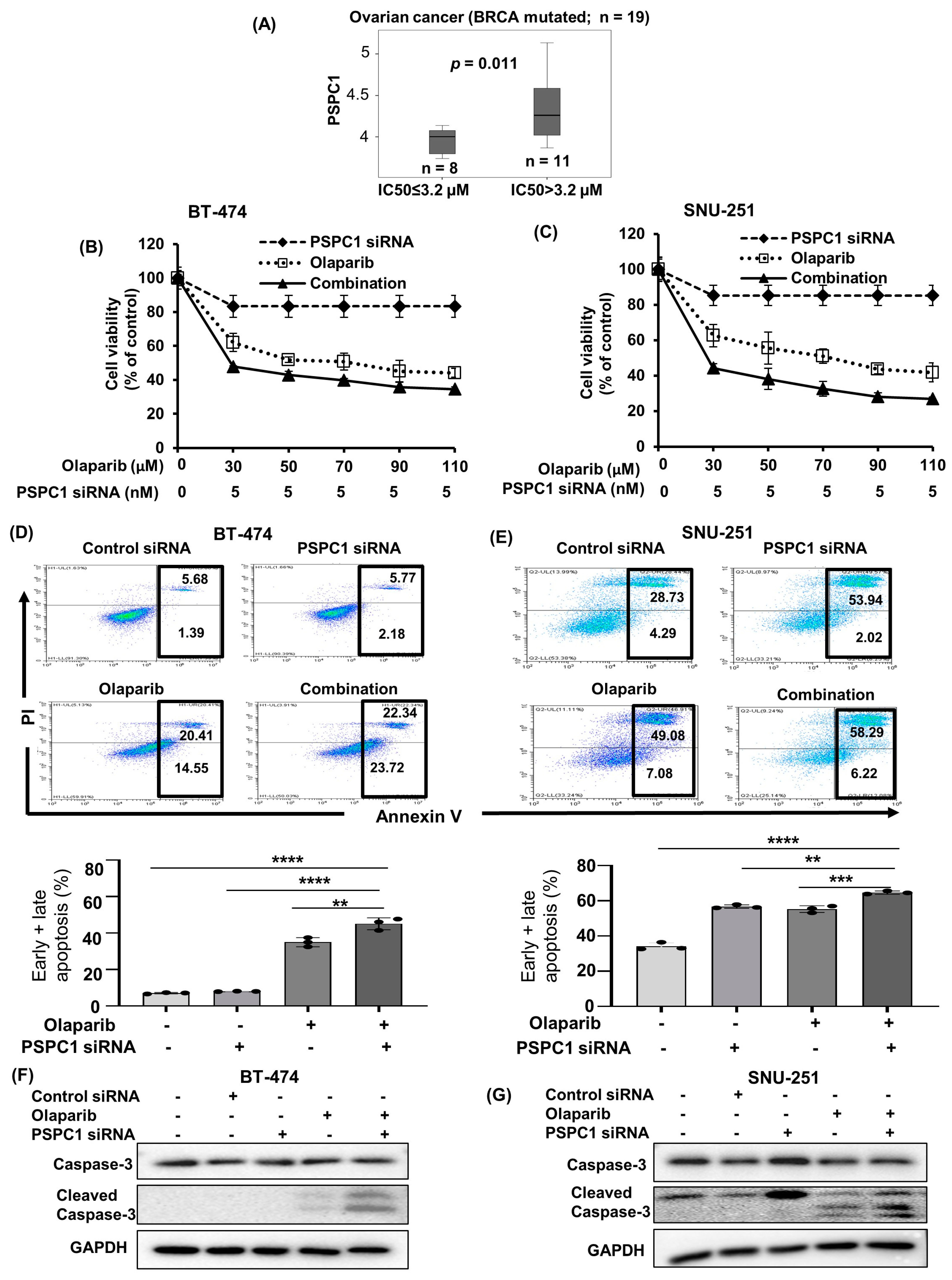 Ijms 24 17086 g001 Ijms 24 17086 g001