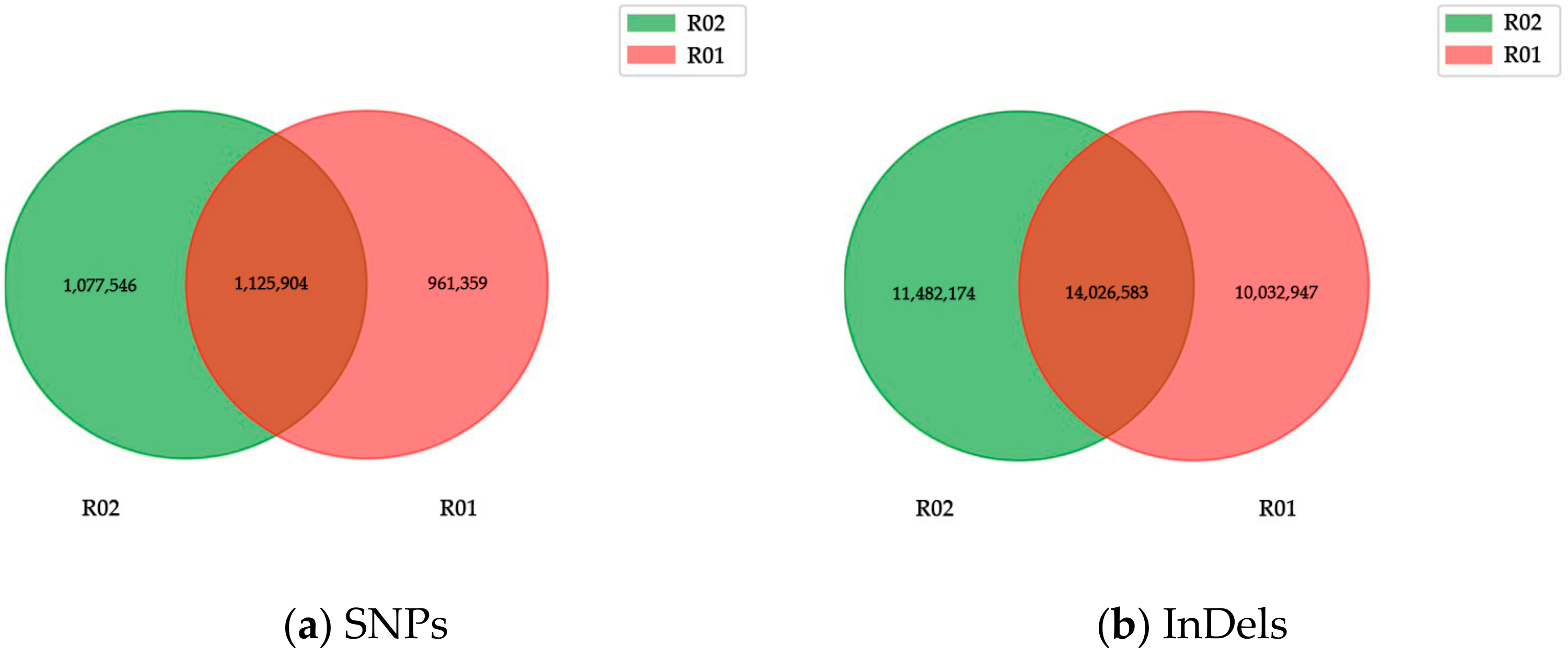 Ijms 24 17356 g001 Ijms 24 17356 g001