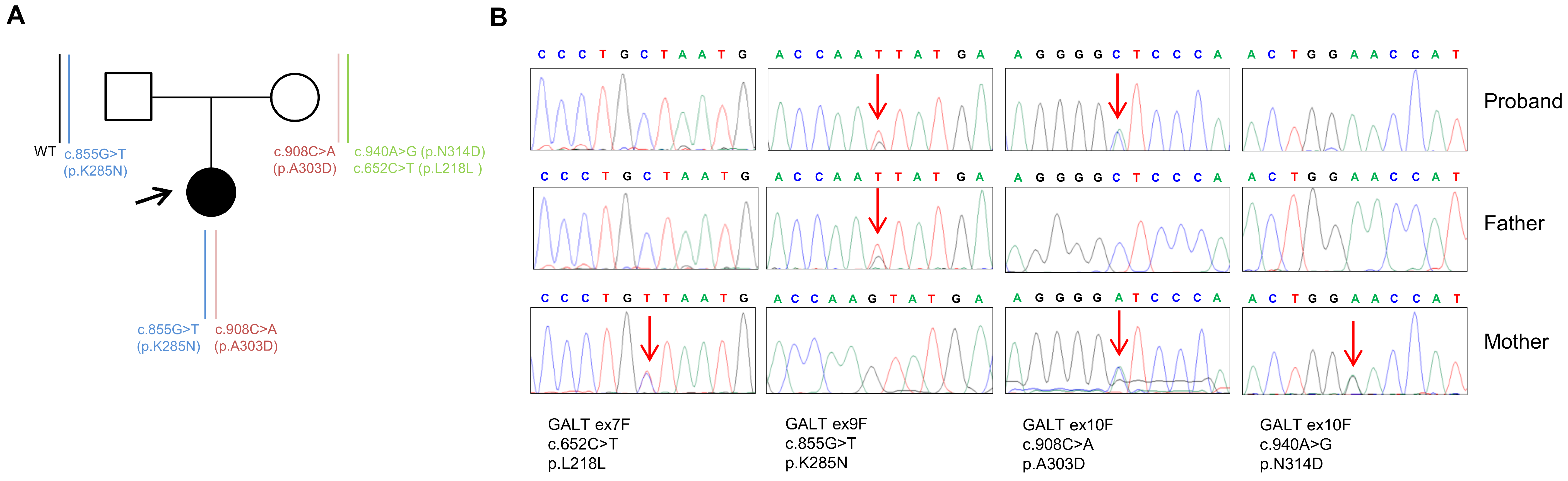 Ijms 24 17388 g001 Ijms 24 17388 g001