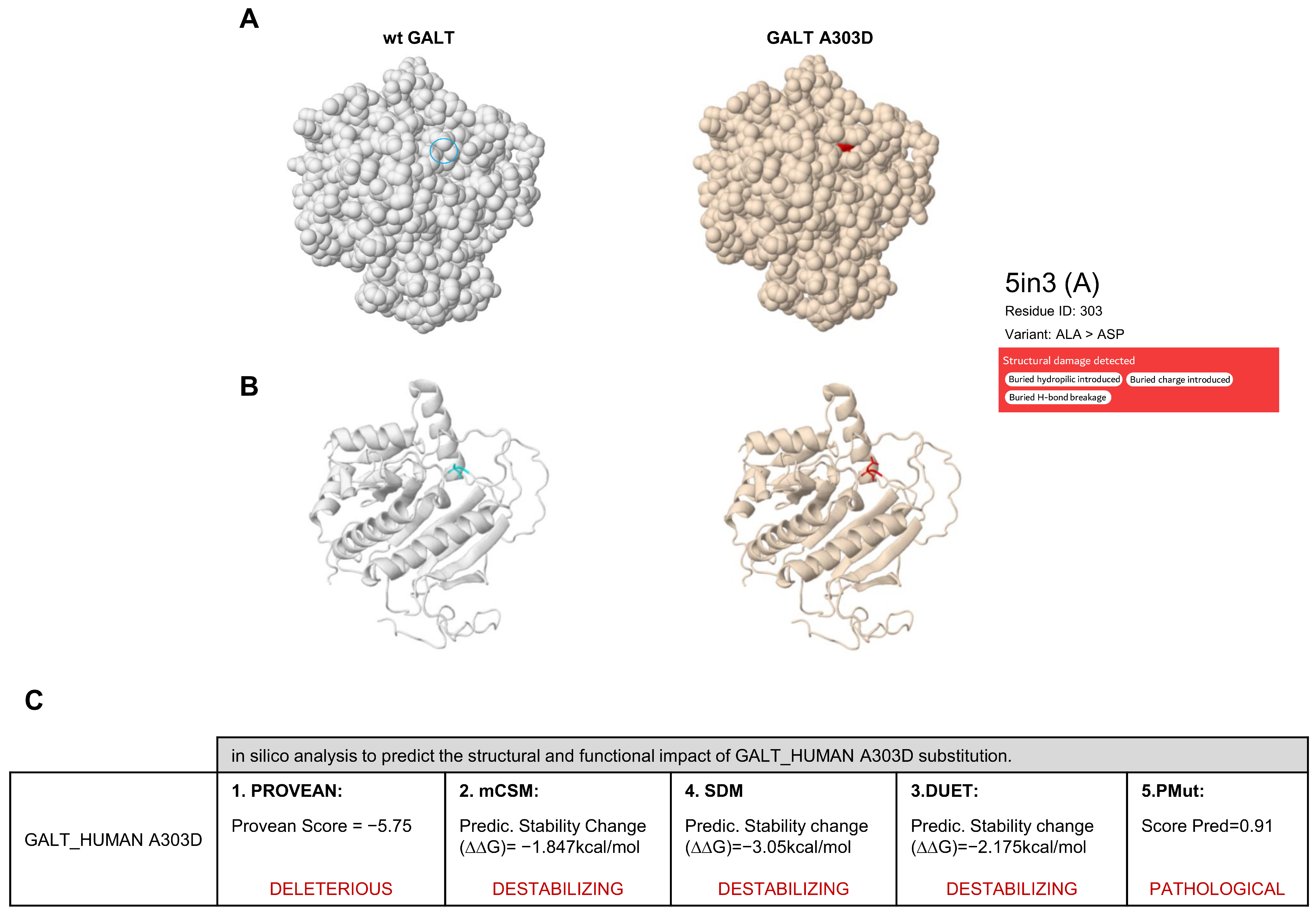 Ijms 24 17388 g002 Ijms 24 17388 g002