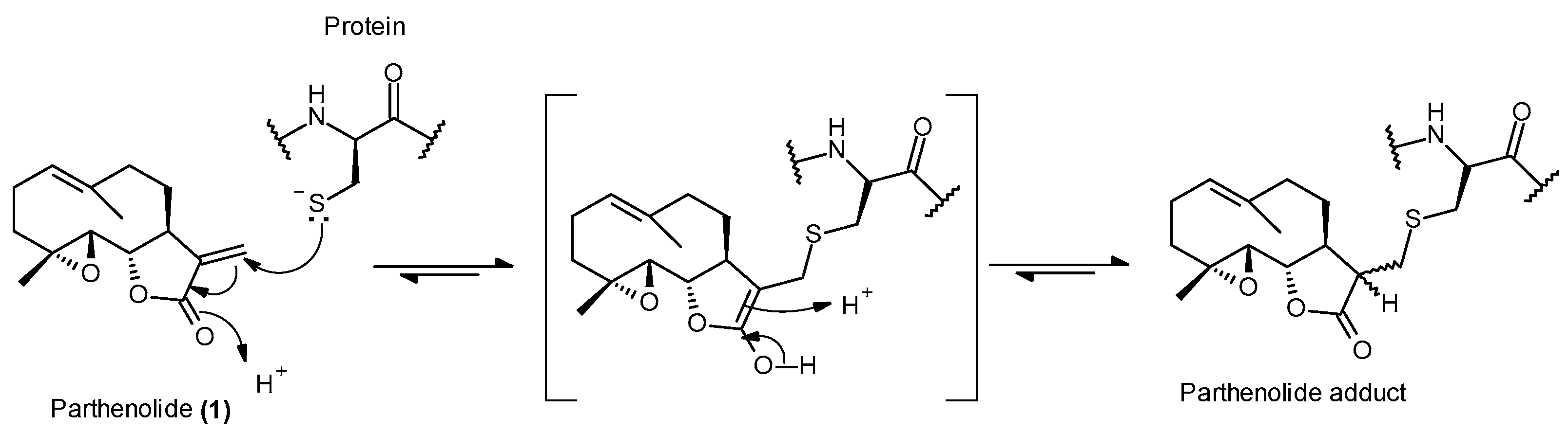 Ijms 24 17395 g001