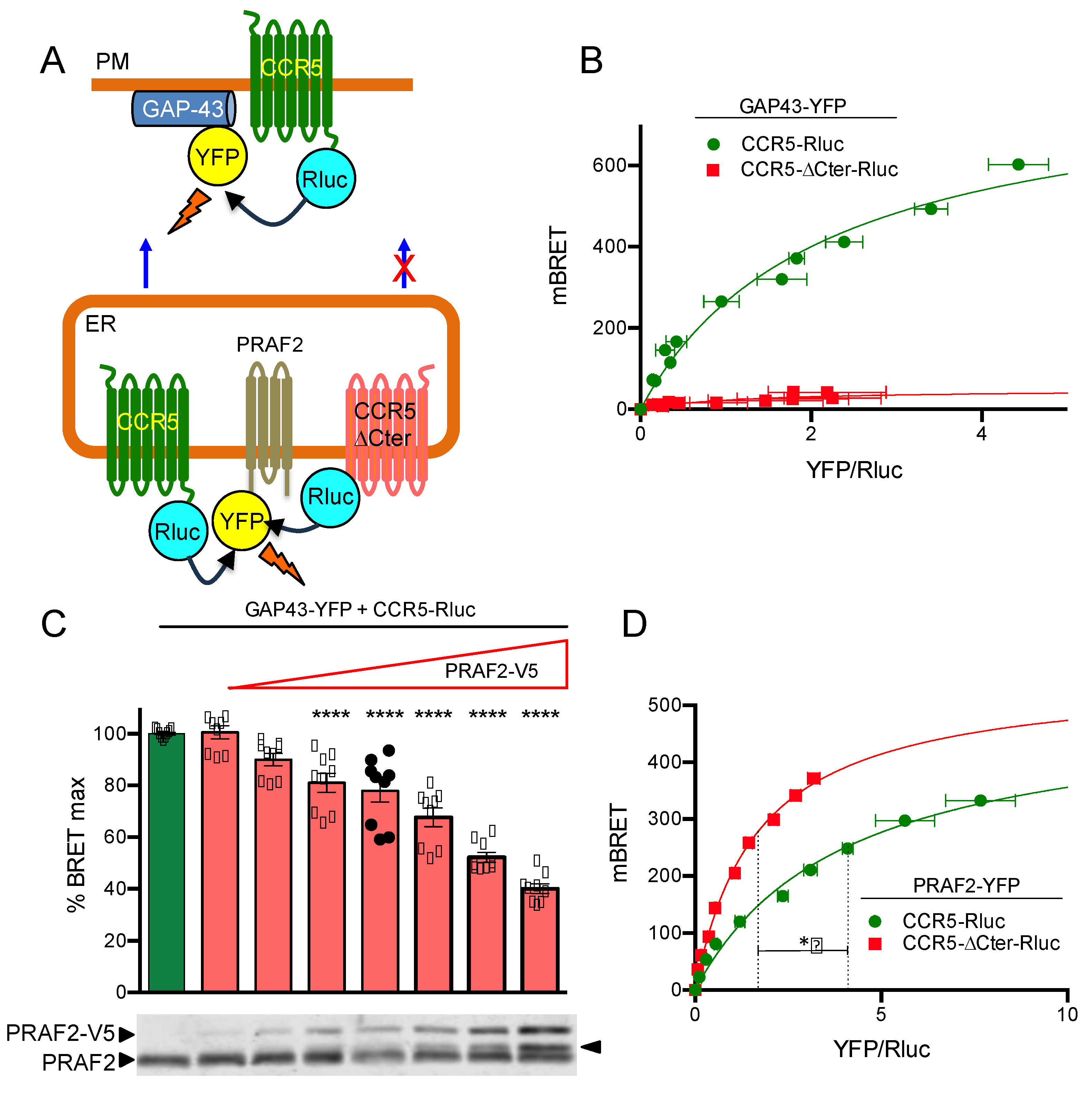 Ijms 24 17438 g002 Ijms 24 17438 g002