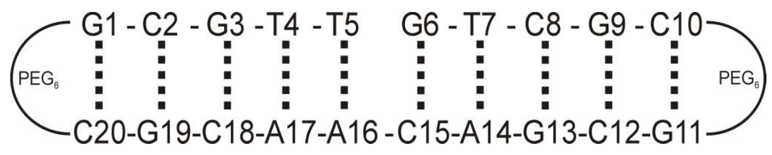 Ijms 24 17445 g003