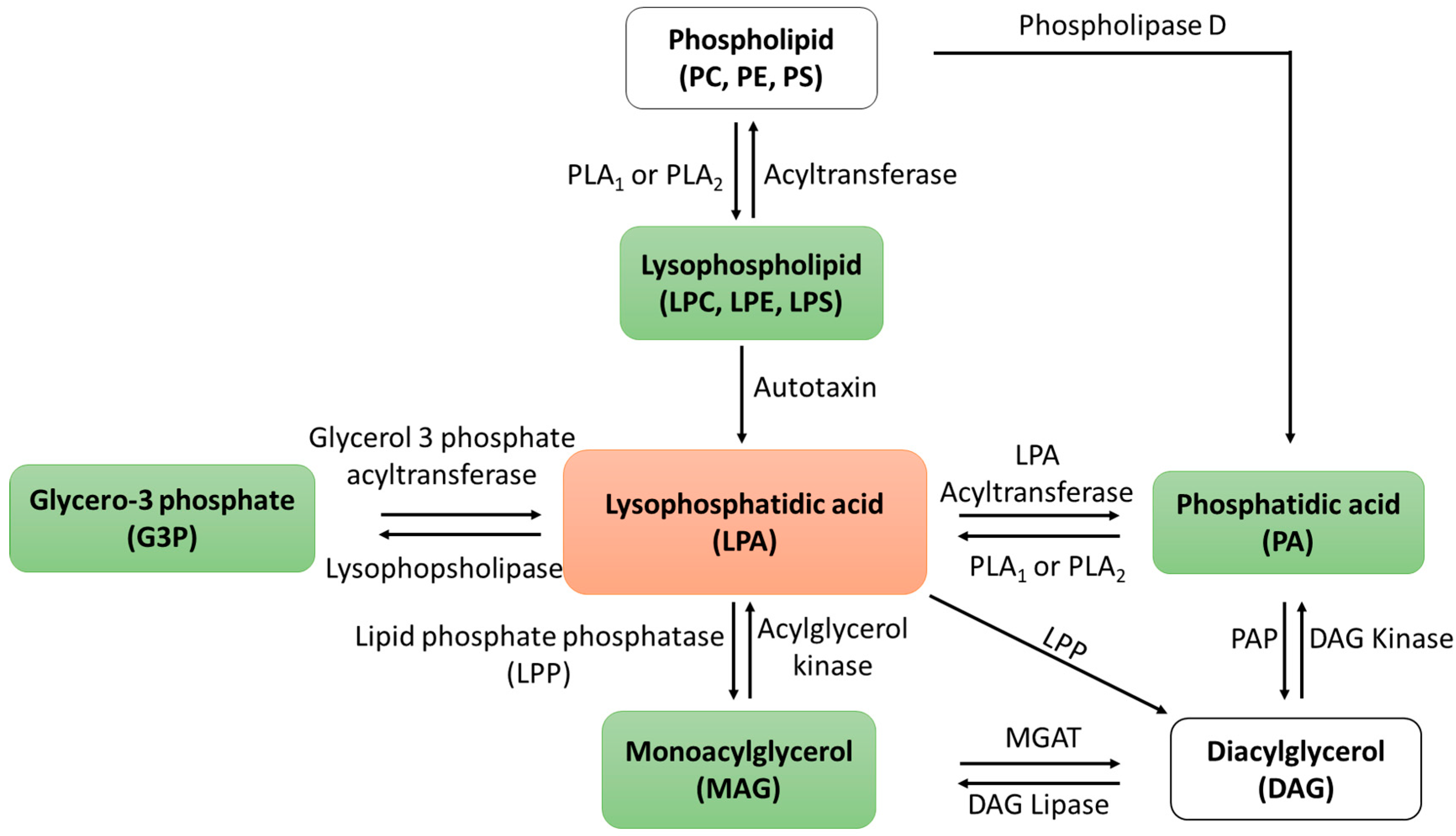 Ijms 24 17451 sch001
