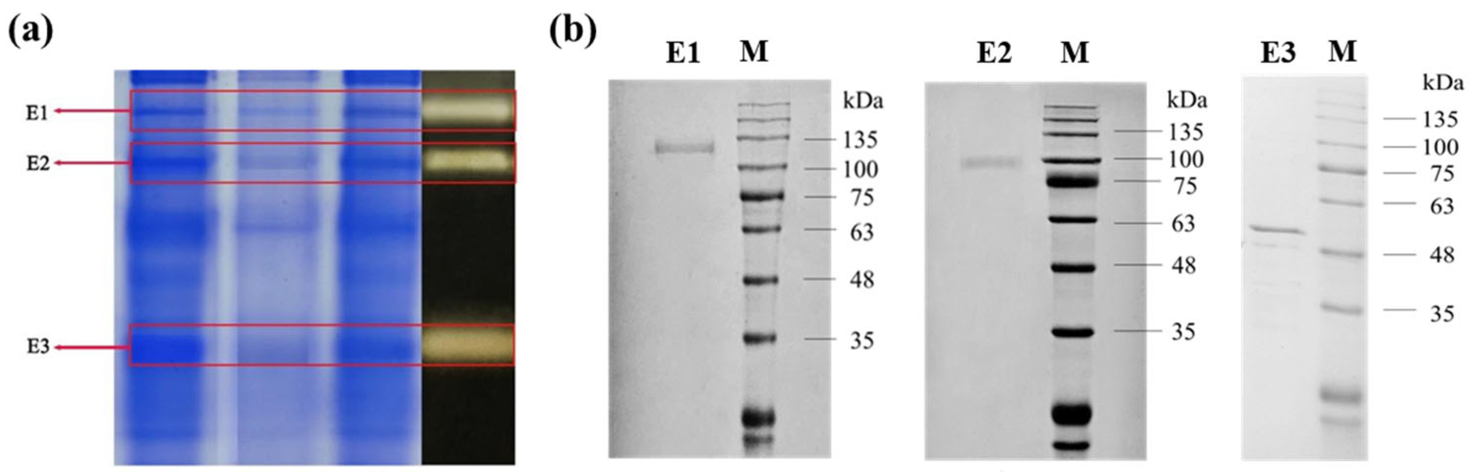 Ijms 24 17611 g002 Ijms 24 17611 g002