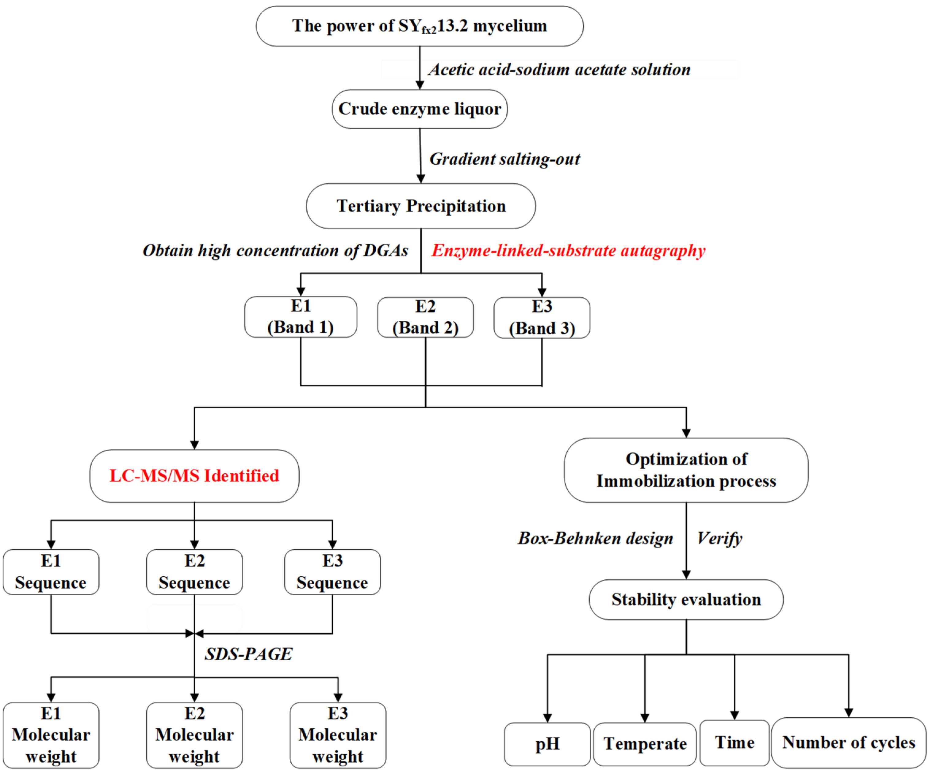 Ijms 24 17611 g007 Ijms 24 17611 g007