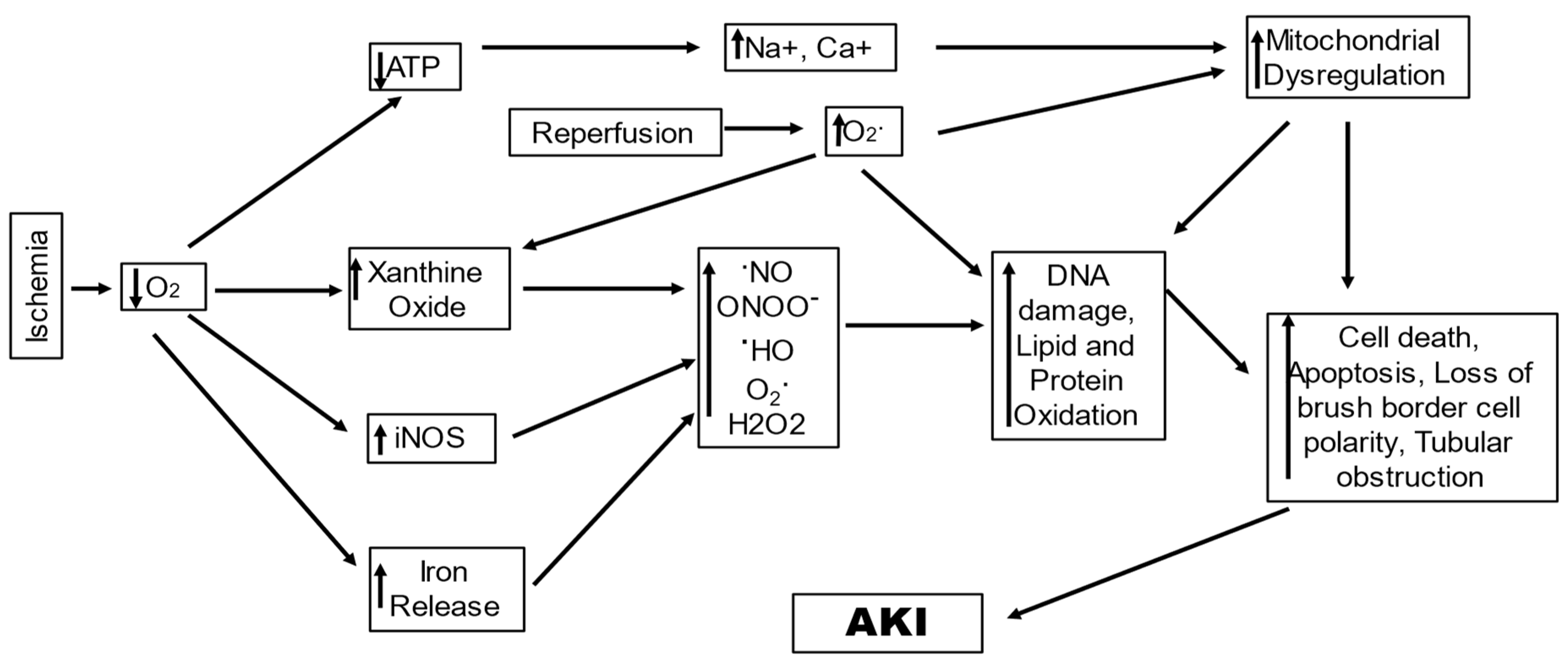 Ijms 25 00003 g001 Ijms 25 00003 g001