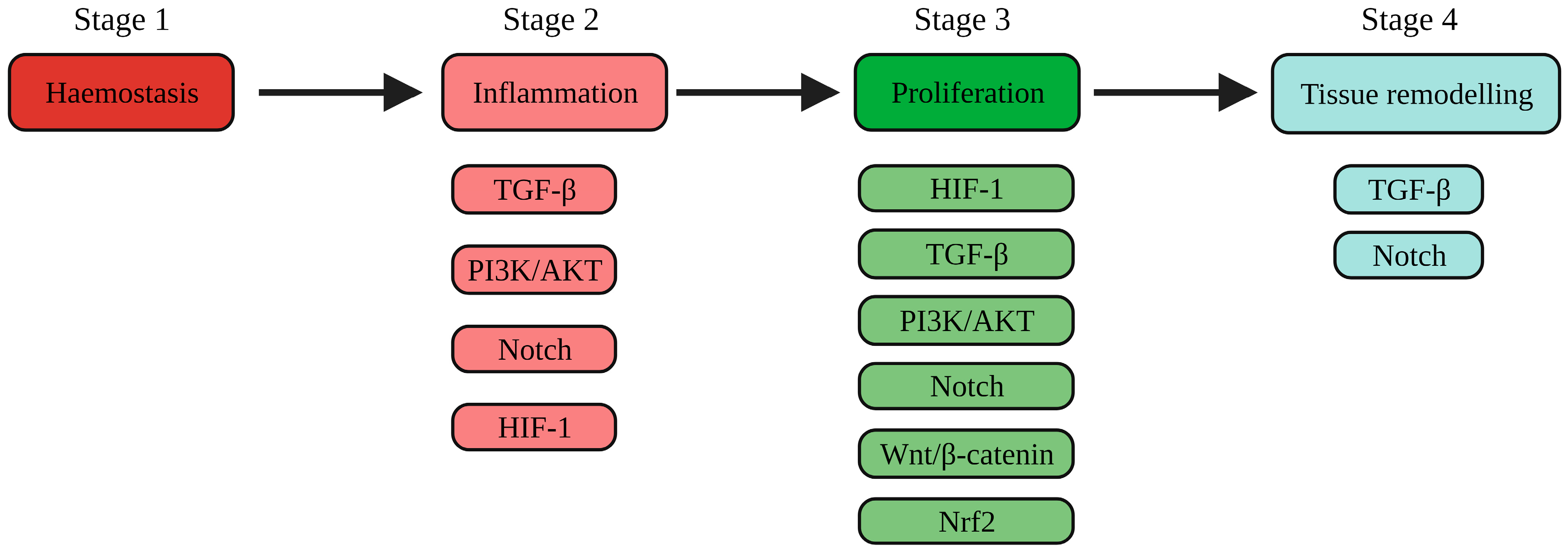 Ijms 25 00050 g001 Ijms 25 00050 g001