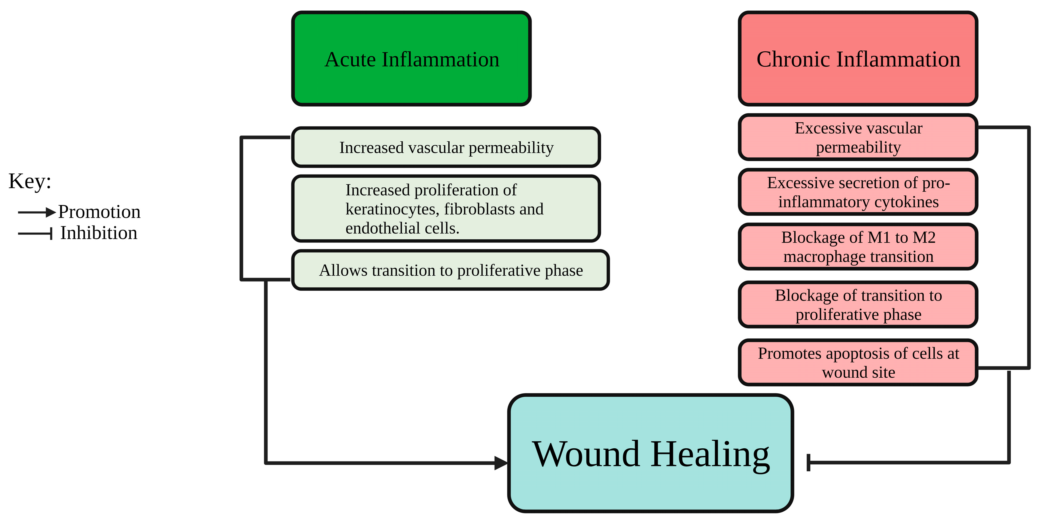 Ijms 25 00050 g002 Ijms 25 00050 g002