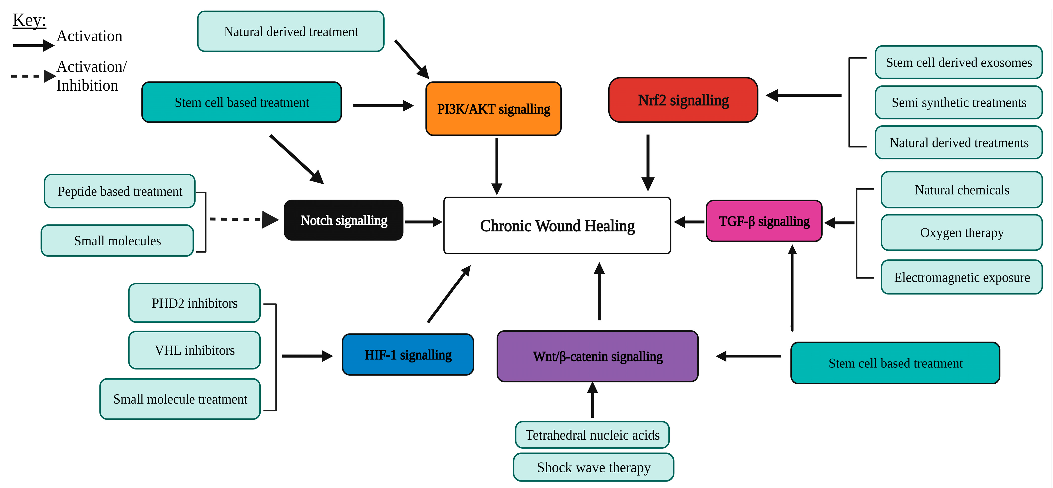 Ijms 25 00050 g003 Ijms 25 00050 g003