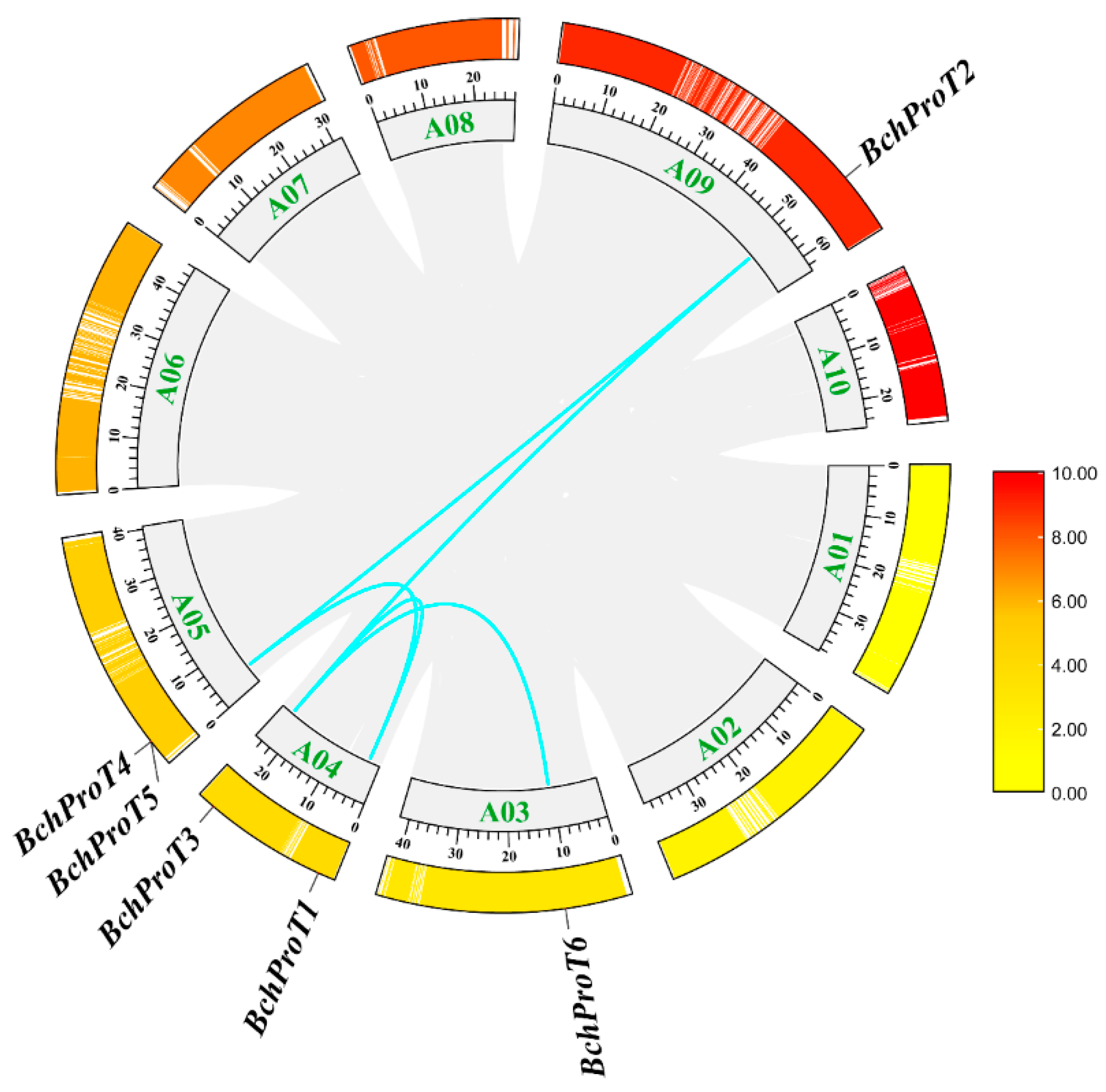 Ijms 25 00099 g001 Ijms 25 00099 g001