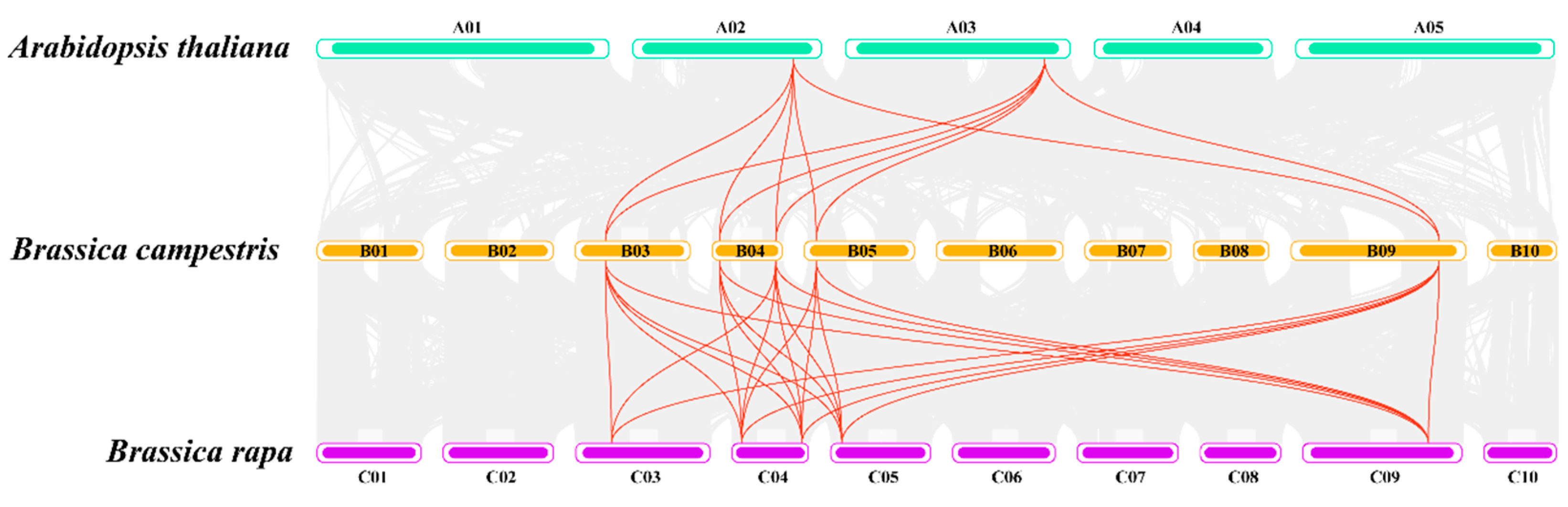 Ijms 25 00099 g002 Ijms 25 00099 g002