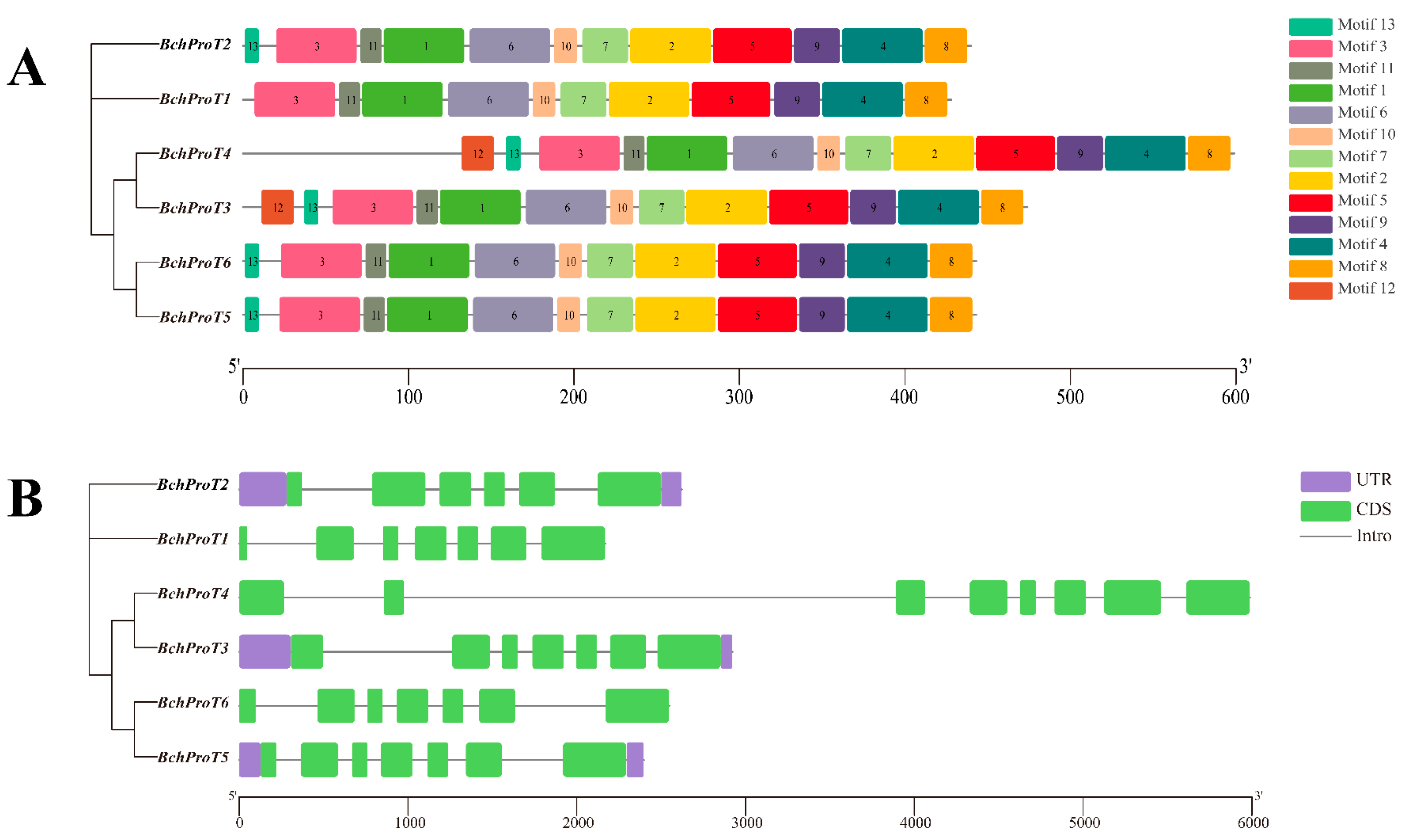 Ijms 25 00099 g003 Ijms 25 00099 g003