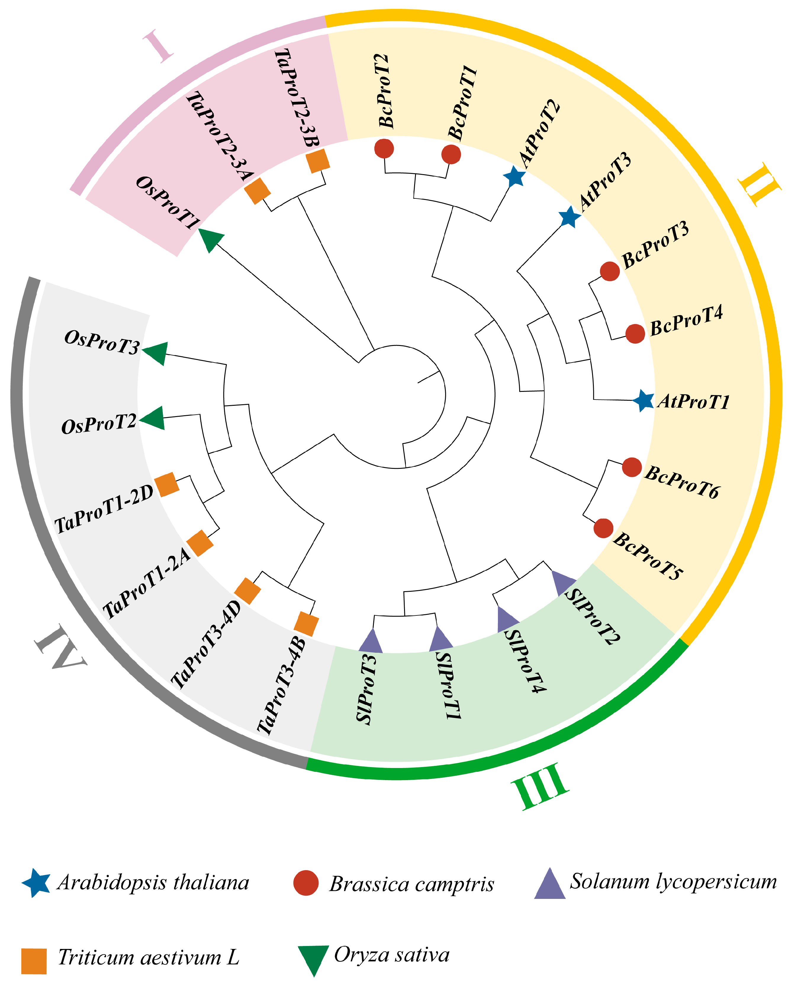 Ijms 25 00099 g004 Ijms 25 00099 g004