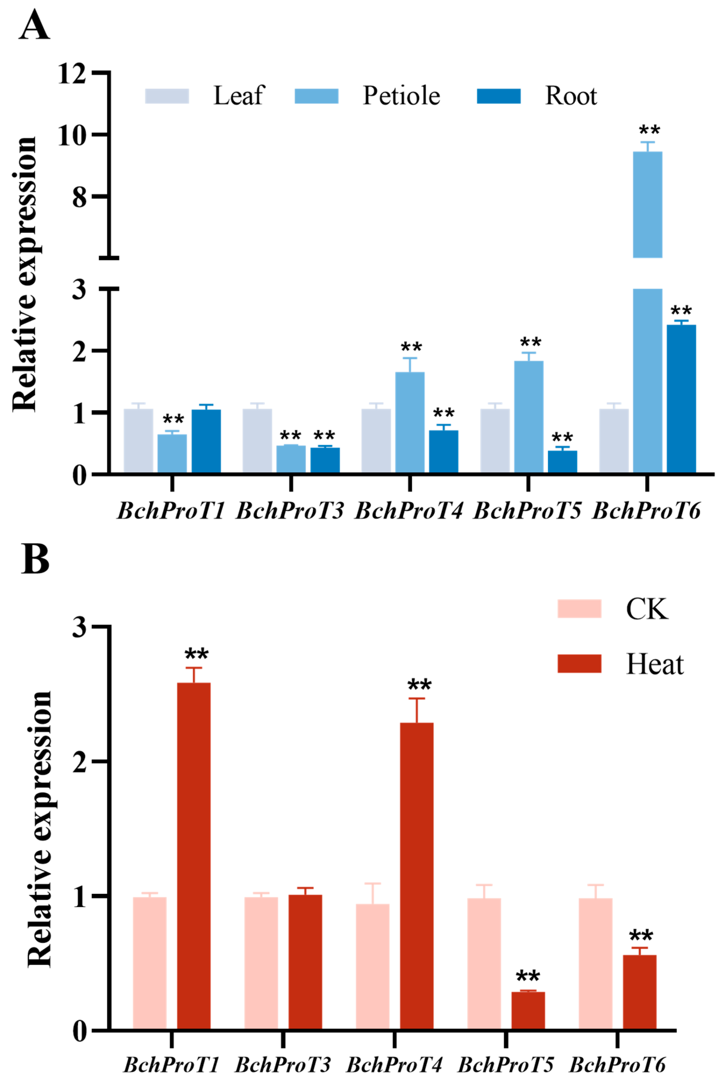 Ijms 25 00099 g006 Ijms 25 00099 g006