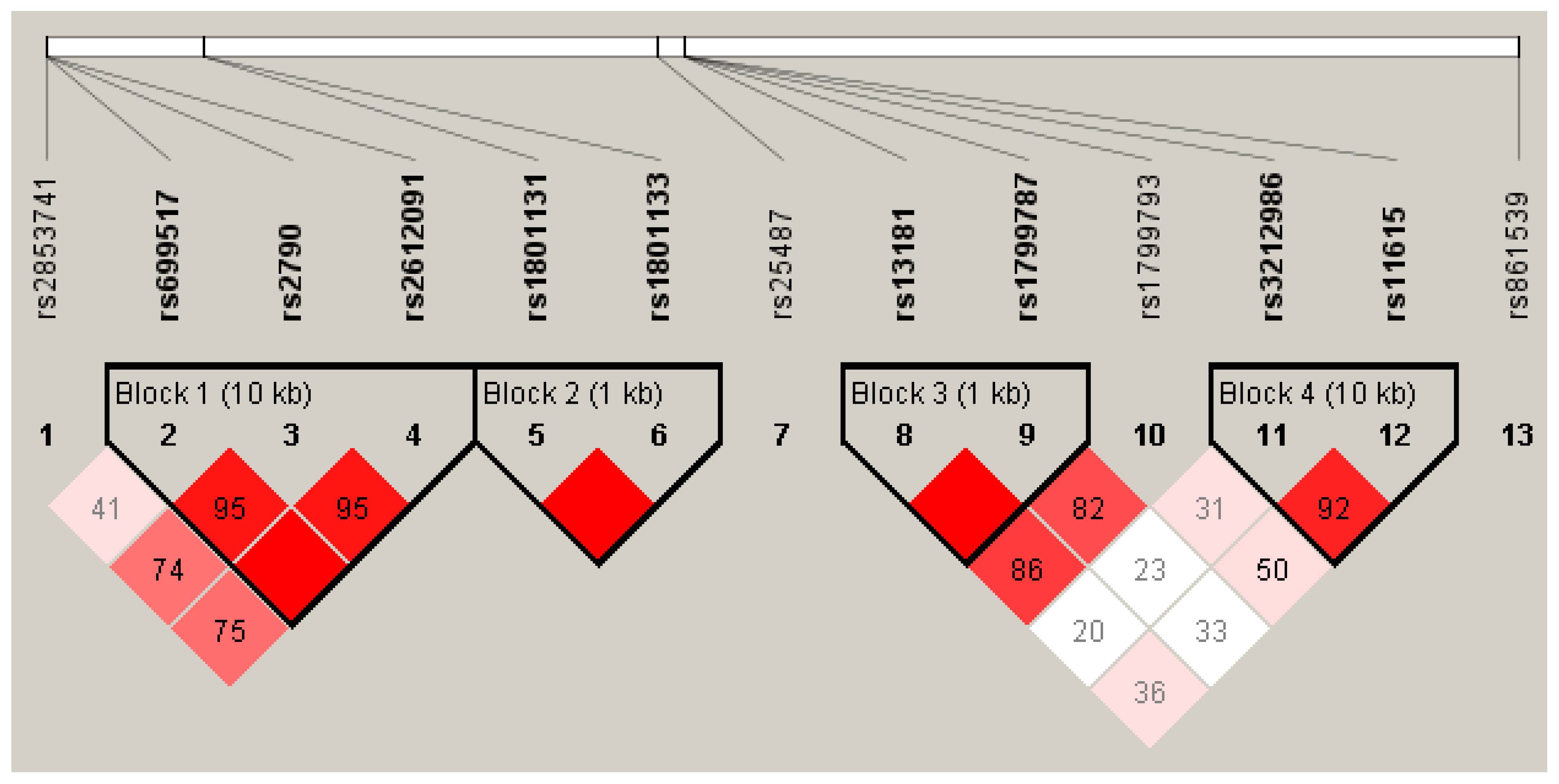 Ijms 25 00104 g002 Ijms 25 00104 g002