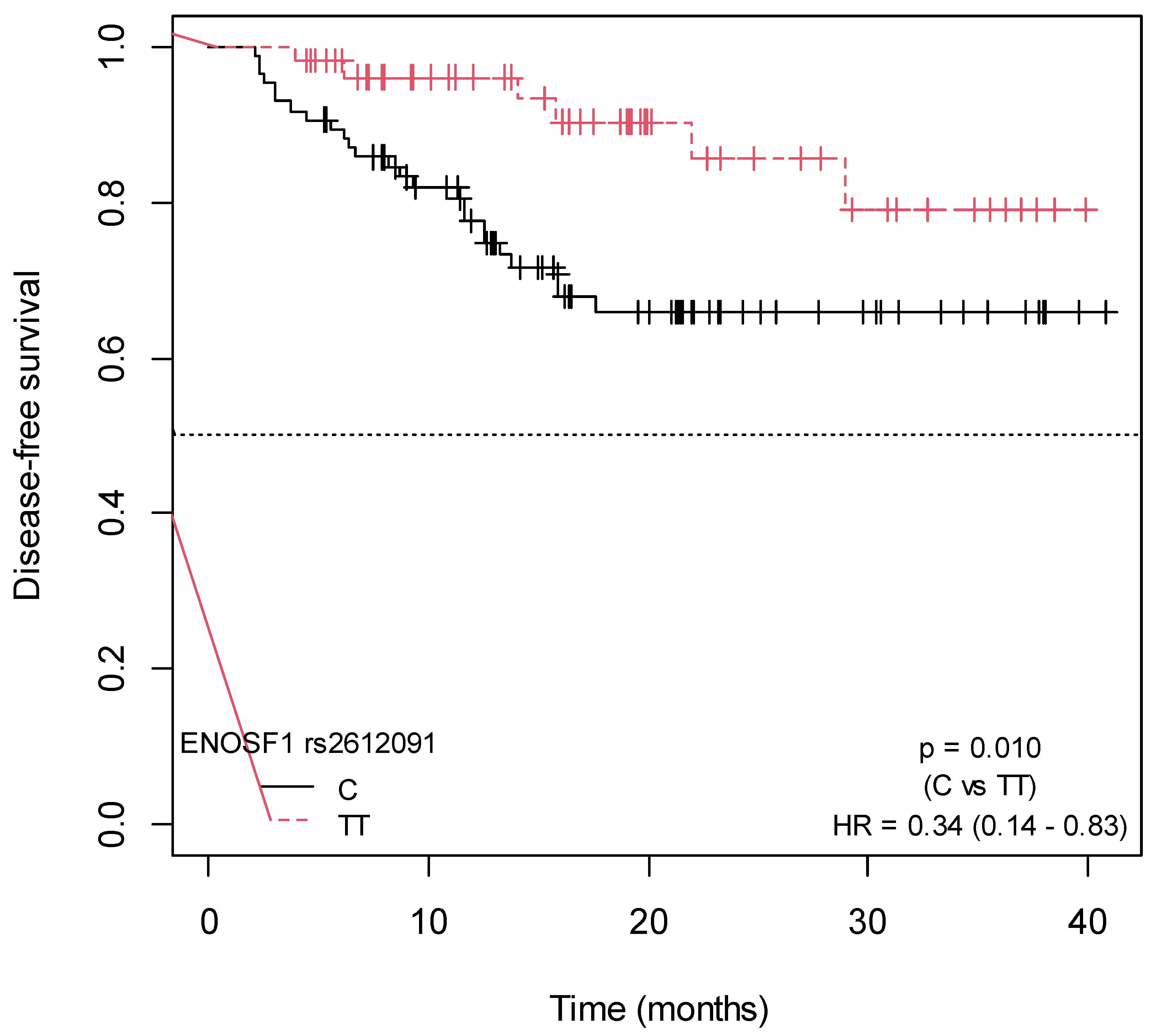 Ijms 25 00104 g006 Ijms 25 00104 g006