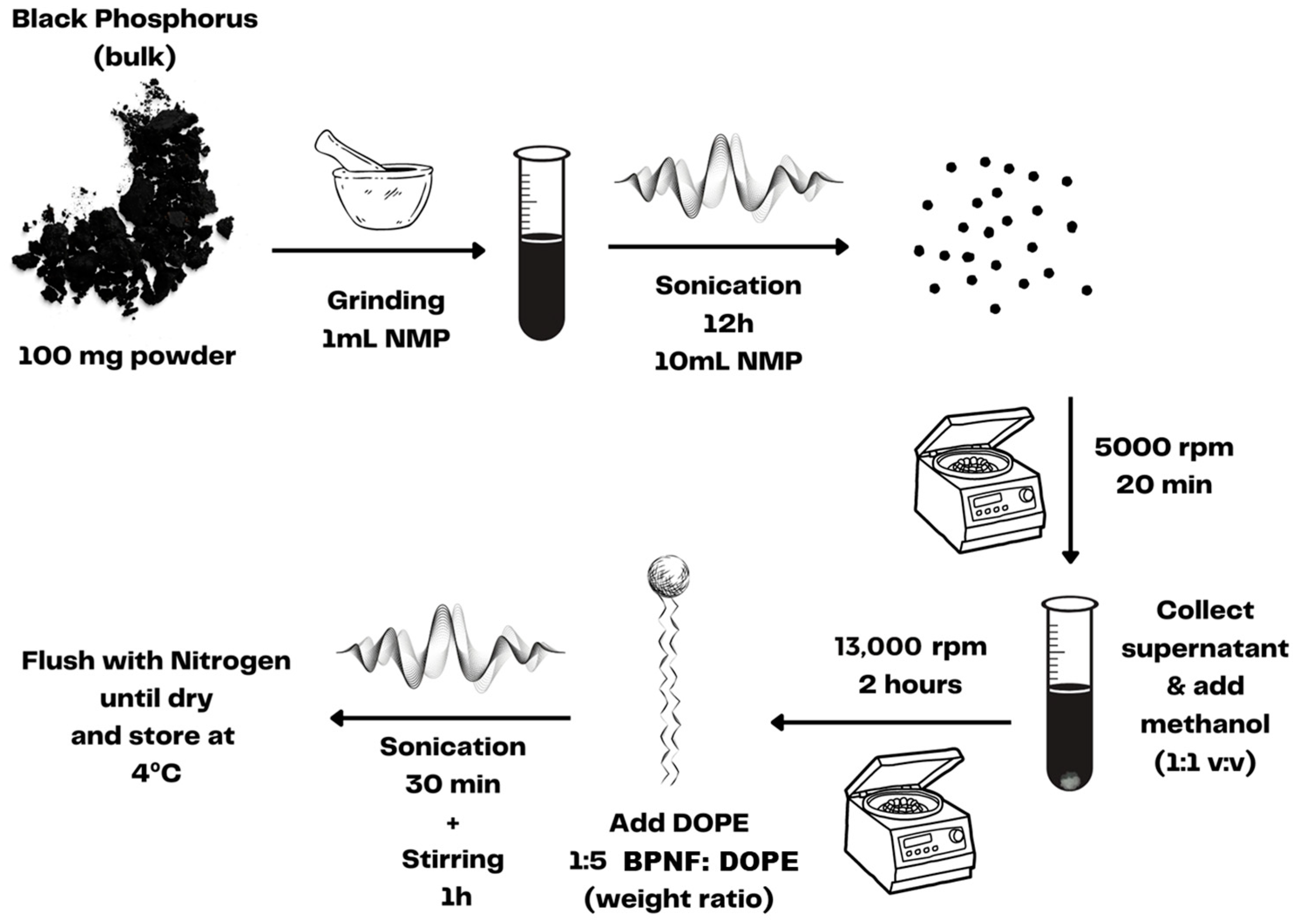 Ijms 25 00115 sch001