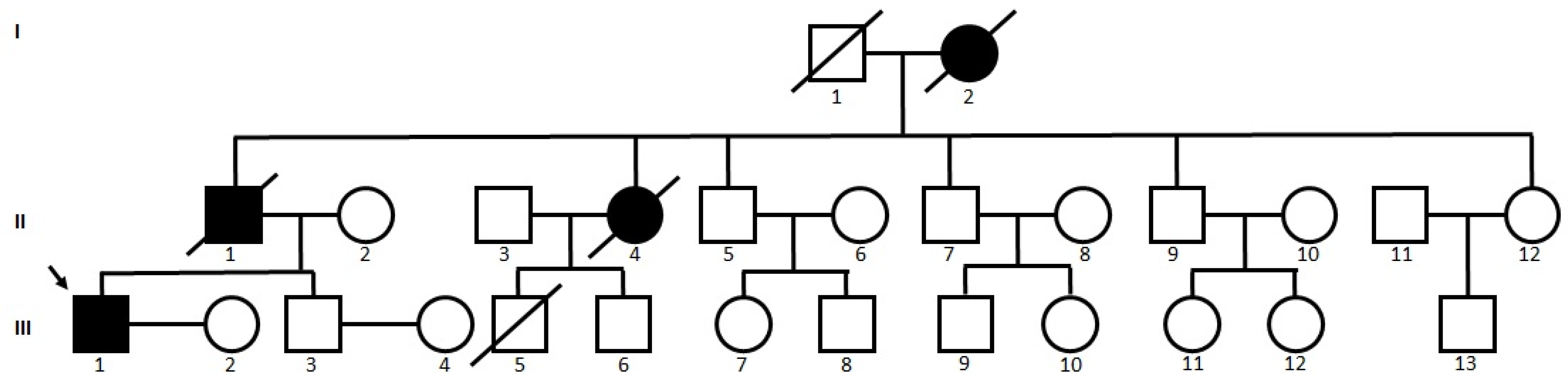 Ijms 25 00116 g001
