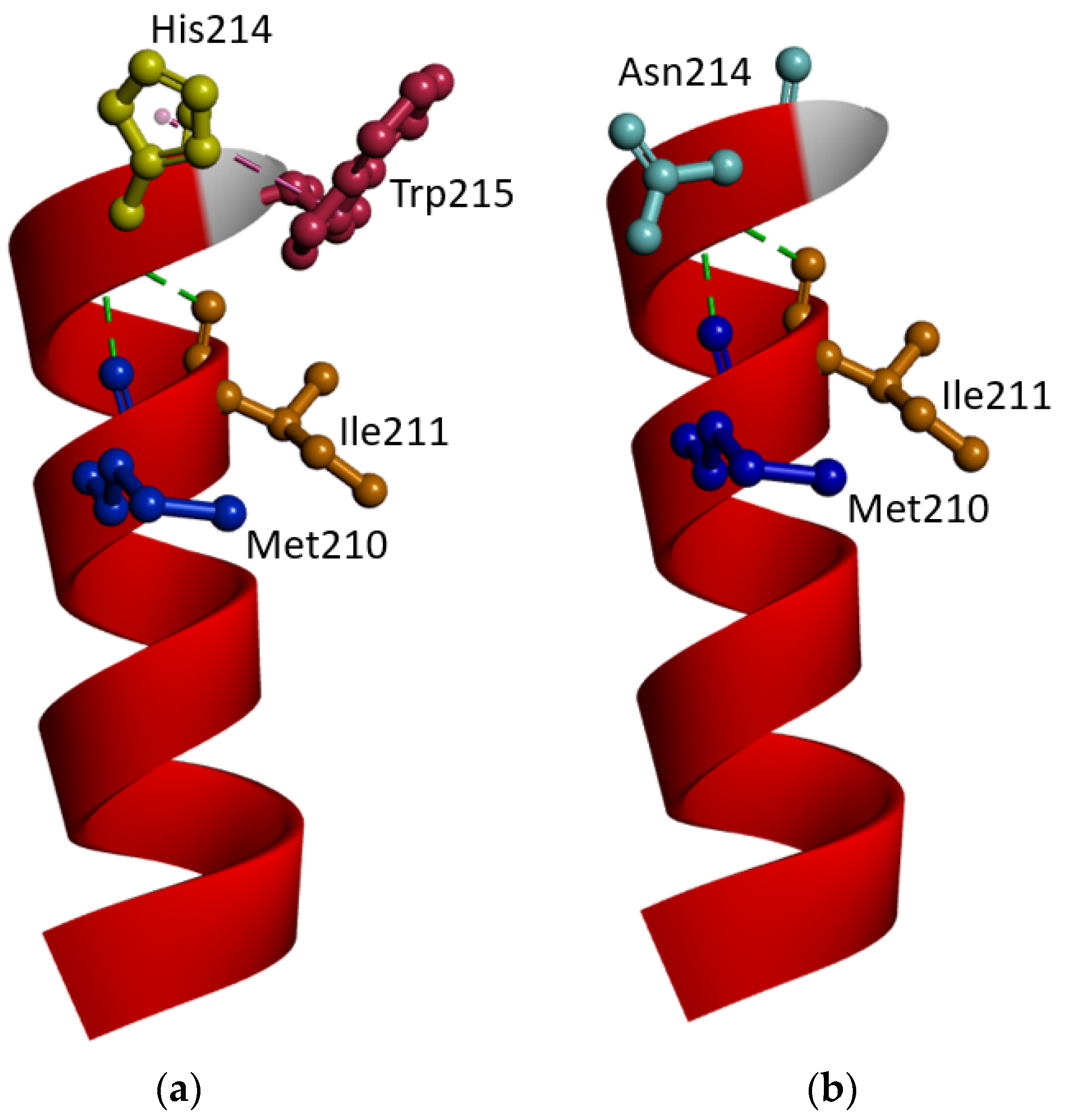 Ijms 25 00116 g004