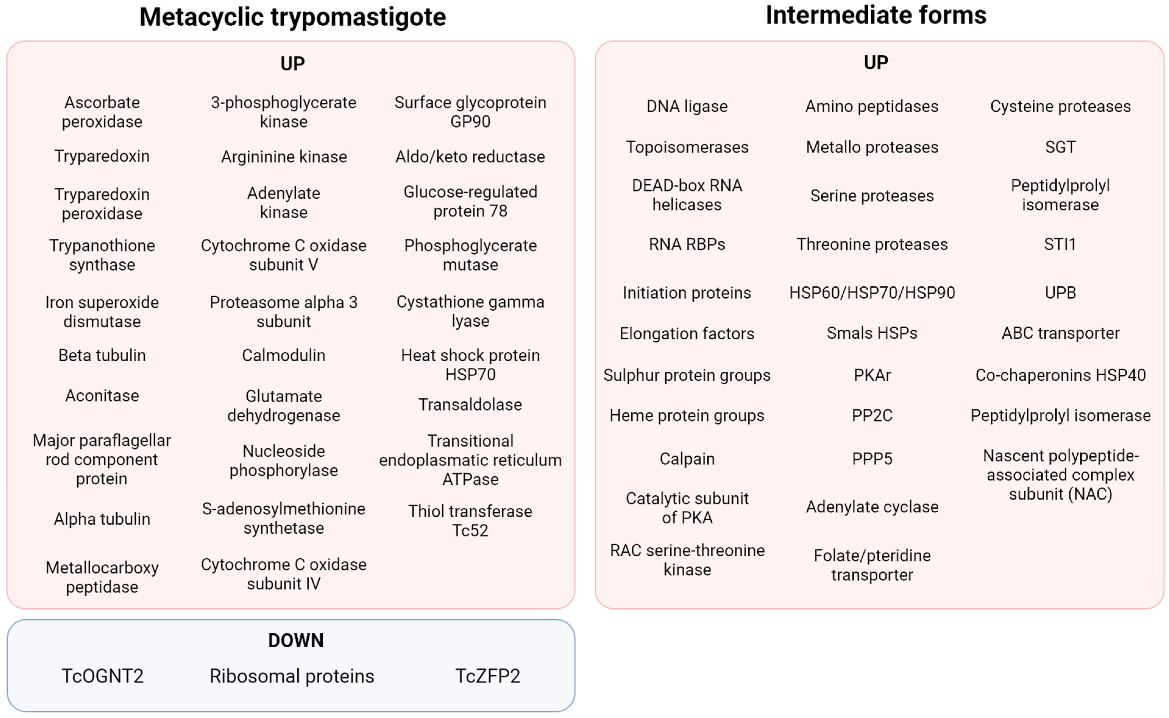 Ijms 25 00117 g004 Ijms 25 00117 g004