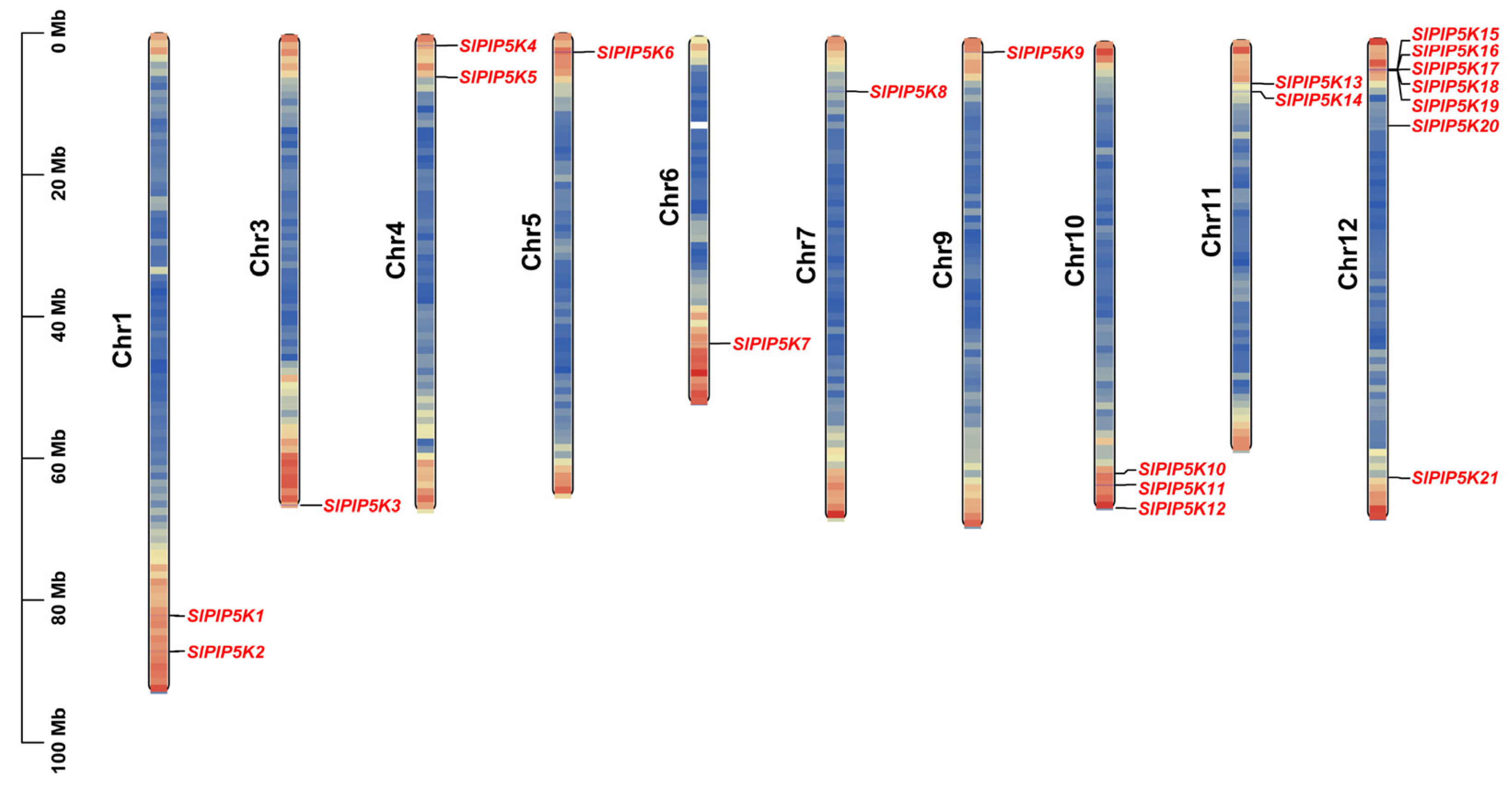 Ijms 25 00159 g001 Ijms 25 00159 g001