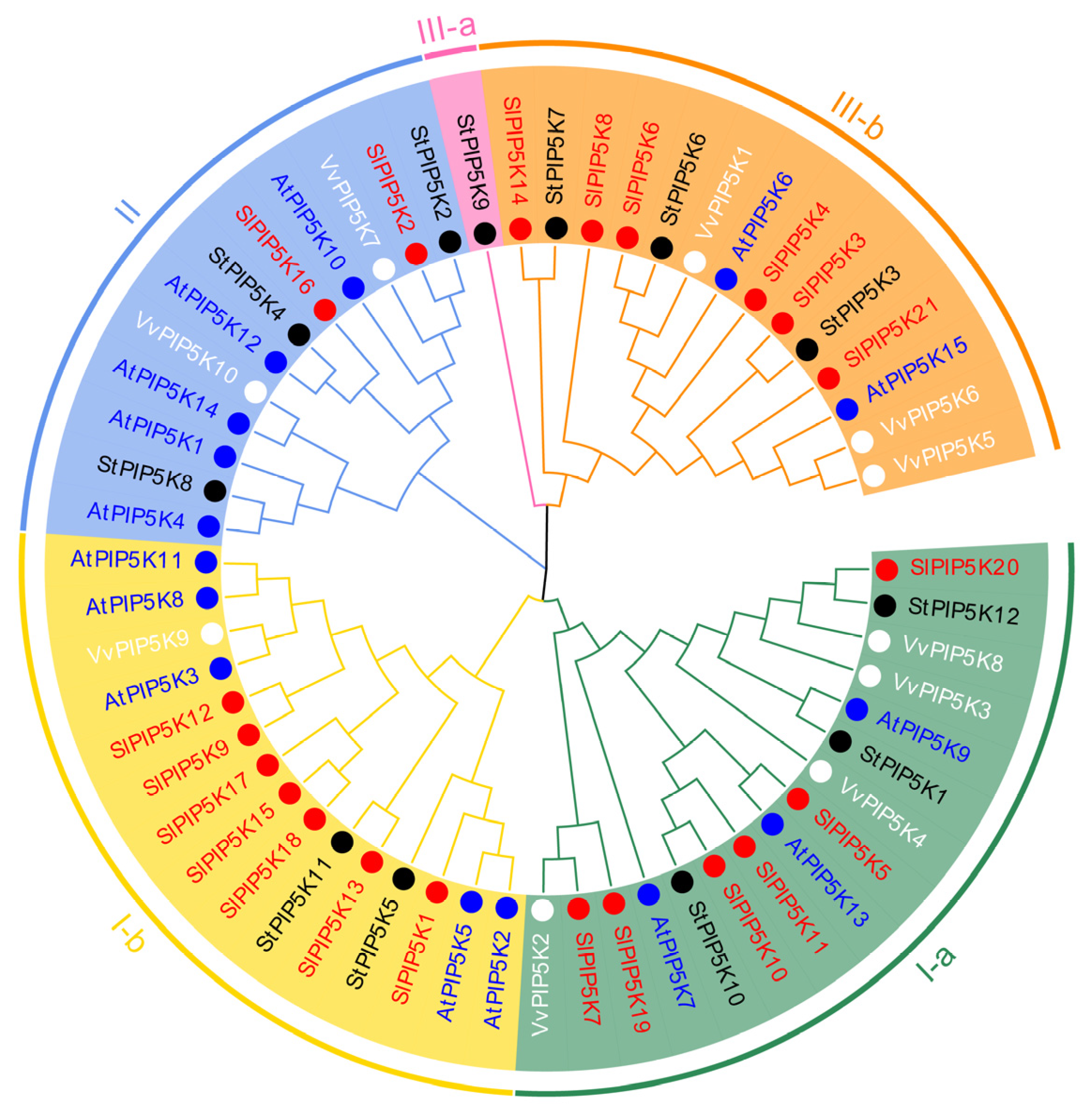 Ijms 25 00159 g002 Ijms 25 00159 g002