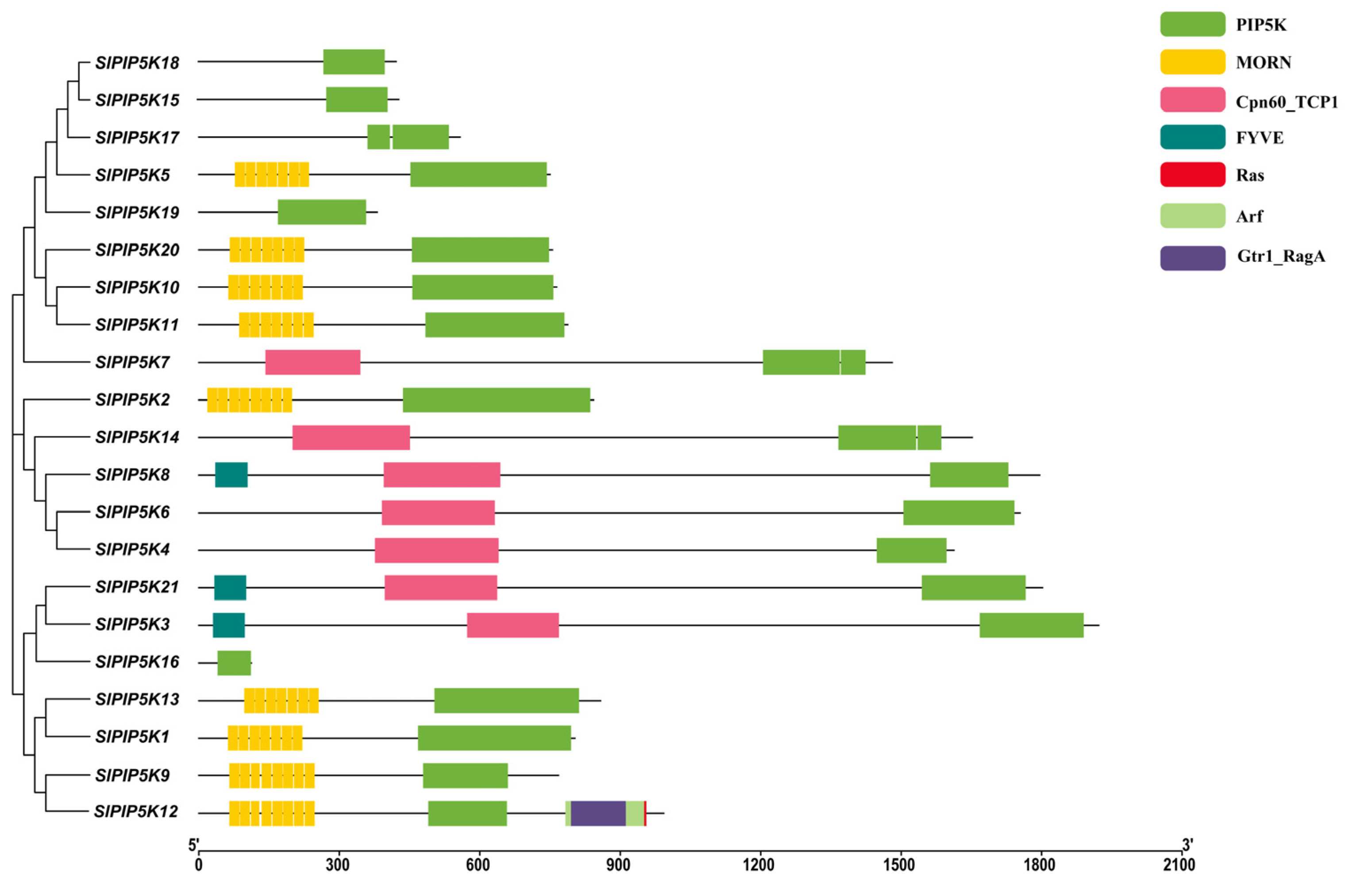 Ijms 25 00159 g004 Ijms 25 00159 g004