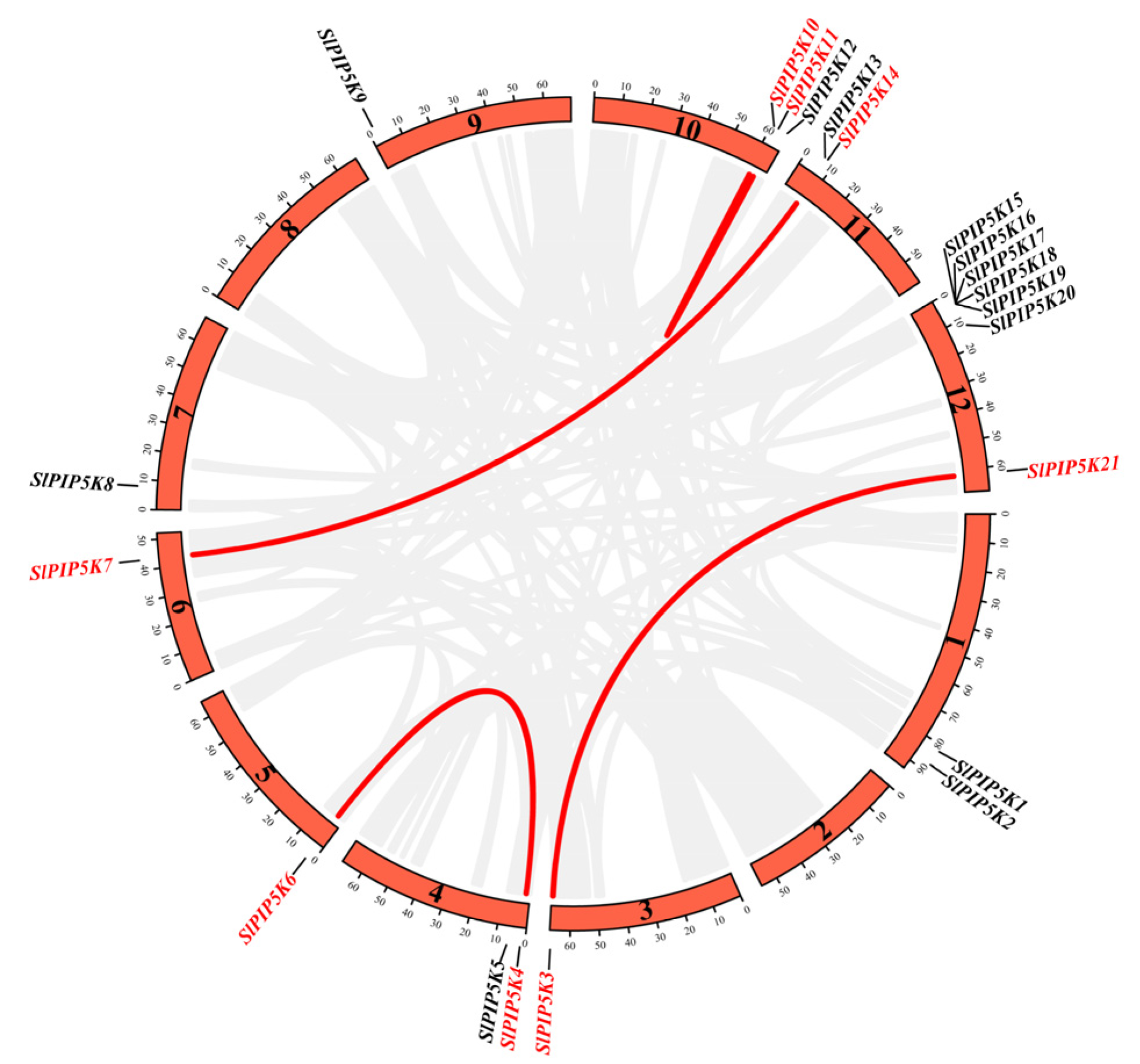 Ijms 25 00159 g005 Ijms 25 00159 g005