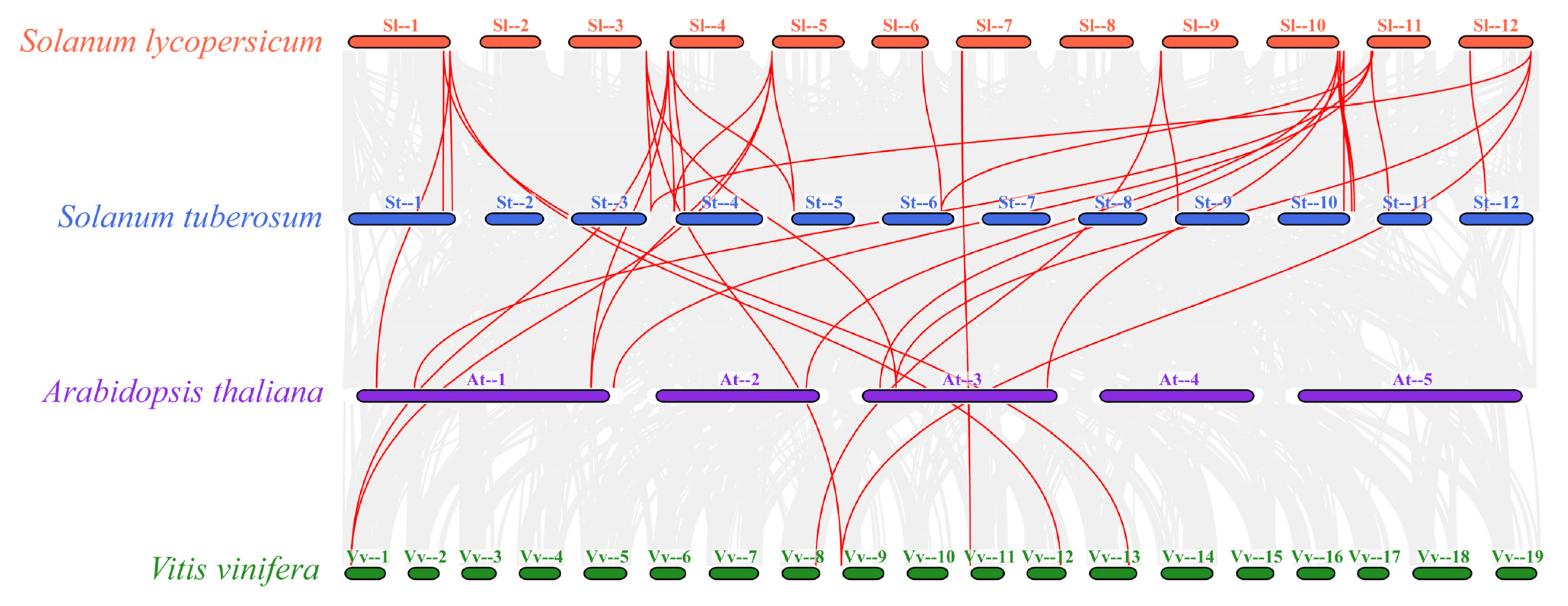 Ijms 25 00159 g006 Ijms 25 00159 g006