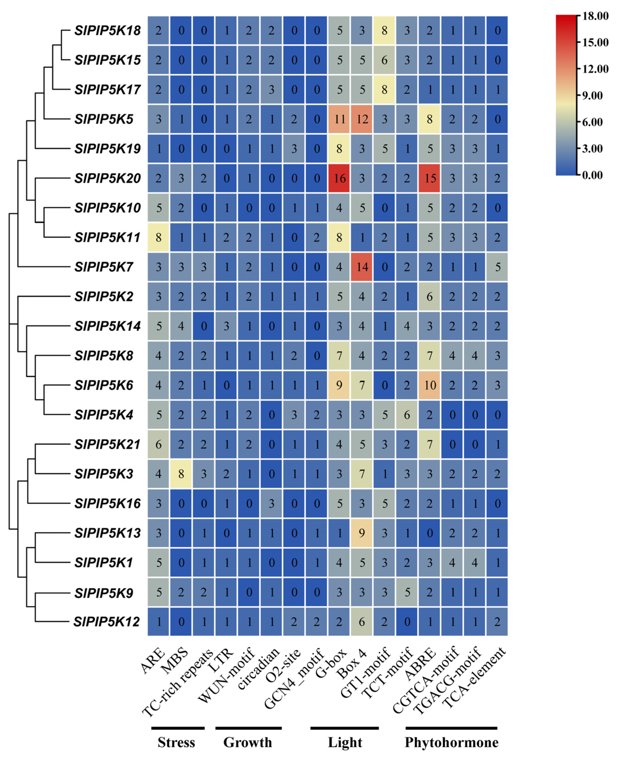 Ijms 25 00159 g007 Ijms 25 00159 g007
