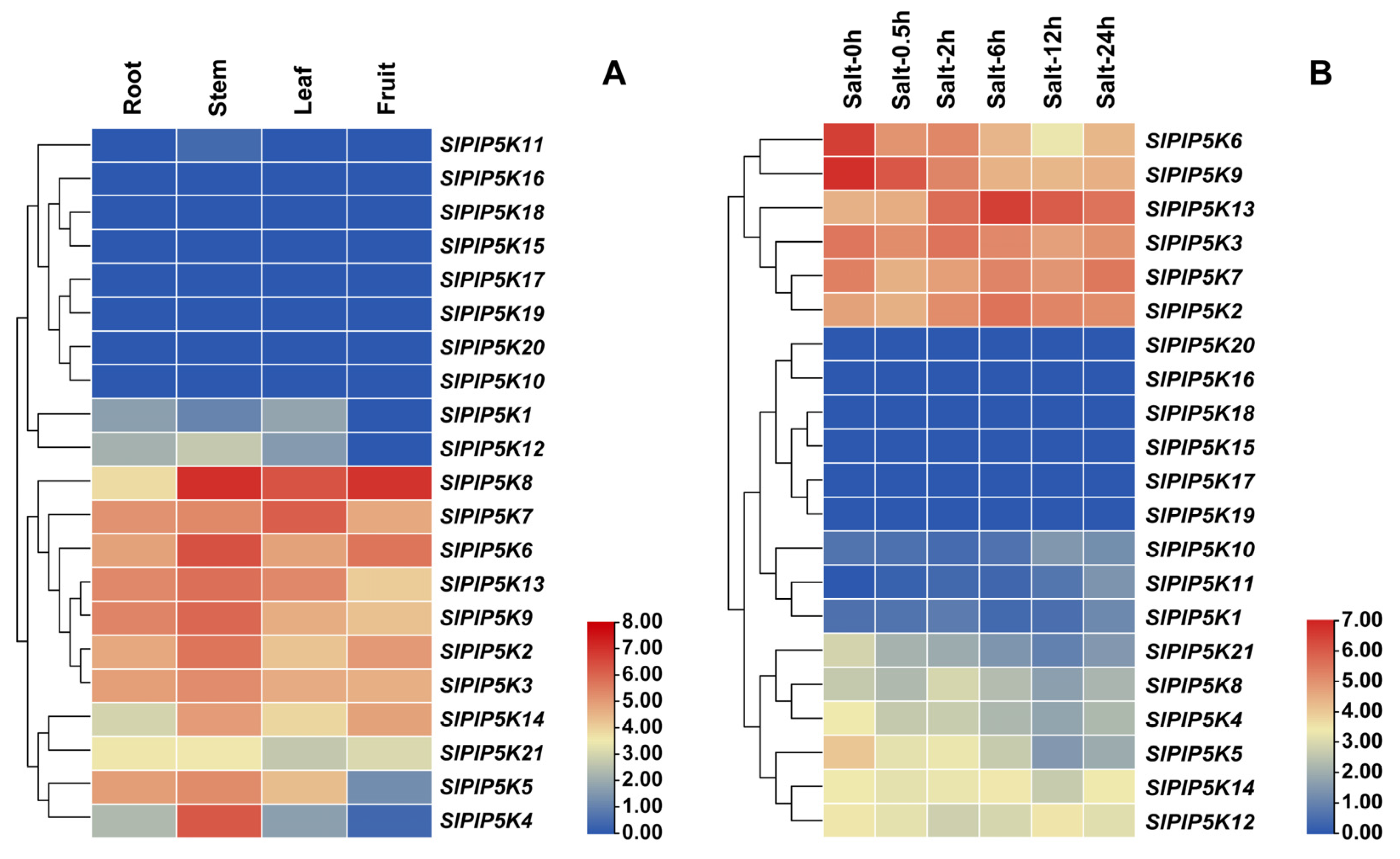 Ijms 25 00159 g008 Ijms 25 00159 g008