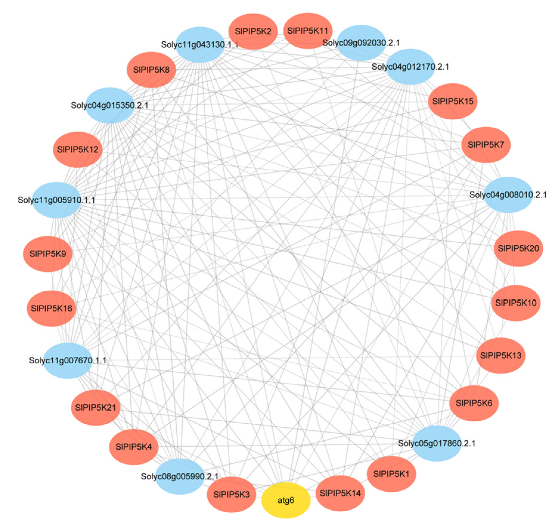 Ijms 25 00159 g009 Ijms 25 00159 g009