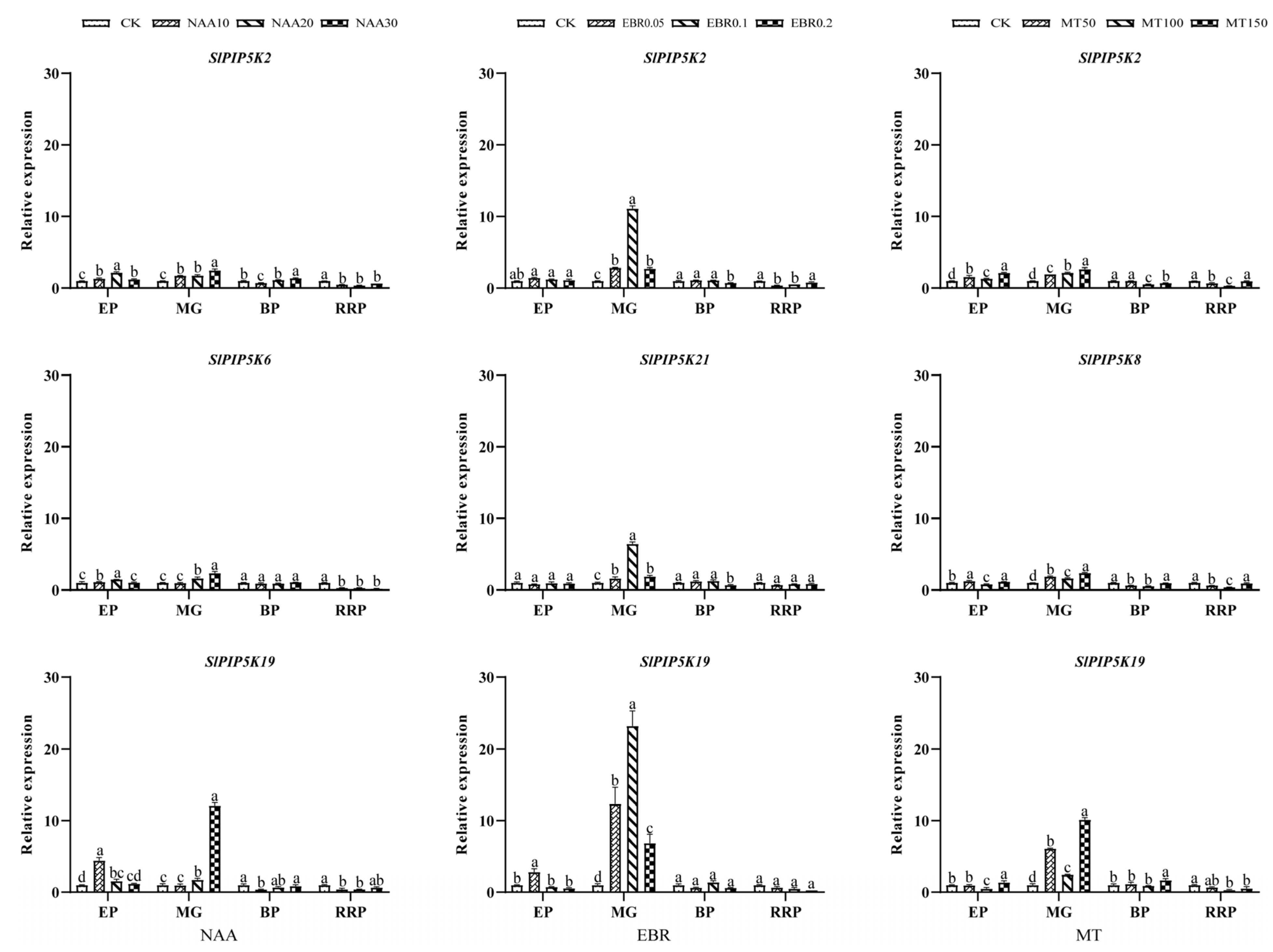 Ijms 25 00159 g012 Ijms 25 00159 g012