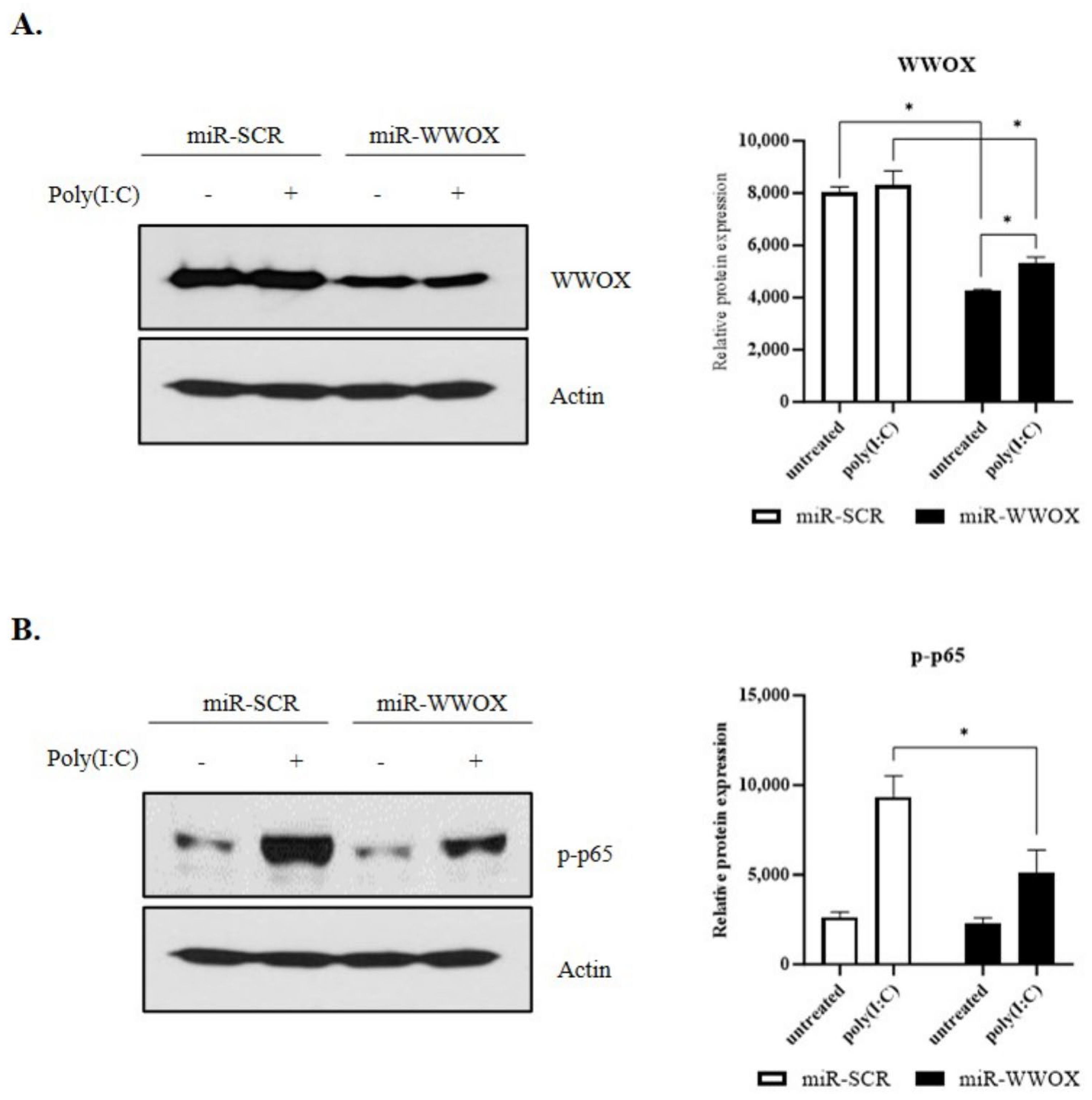 Ijms 25 00167 g002